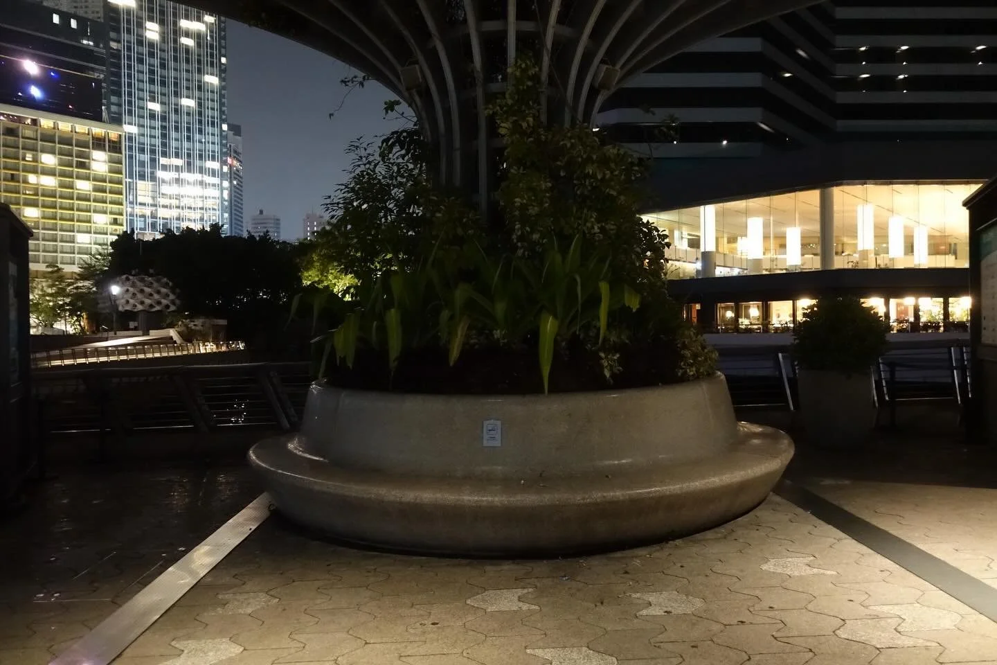 你好 Bench Nation! I am reporting today from Hong Kong where I have found a nice and smooth circle bench to sit down on. It&rsquo;s 5 in the morning here, and my jet lagged booty needed to find itself a seat. Well here we go! Just a stunner of a bench 