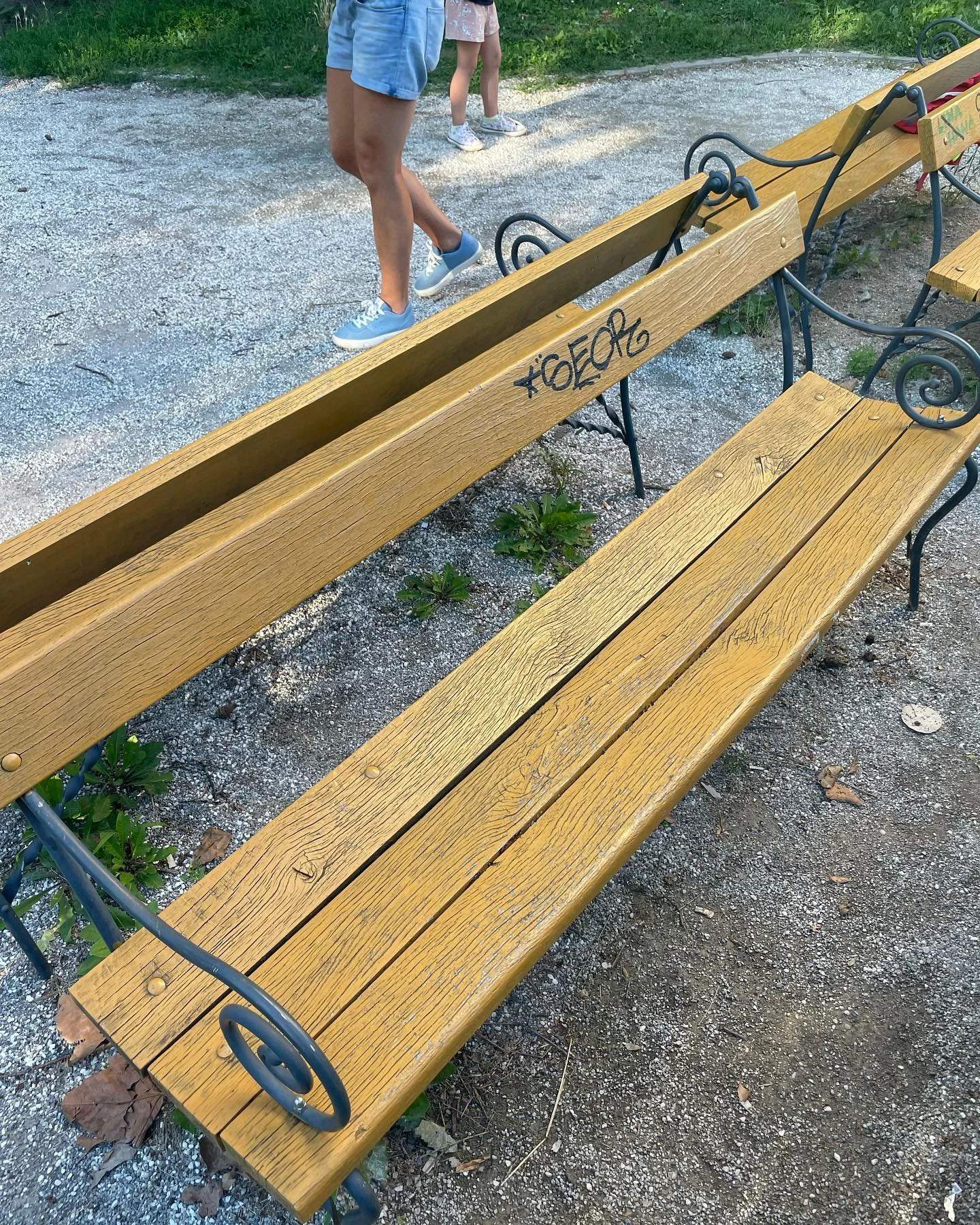 Rare Double Sided Bench