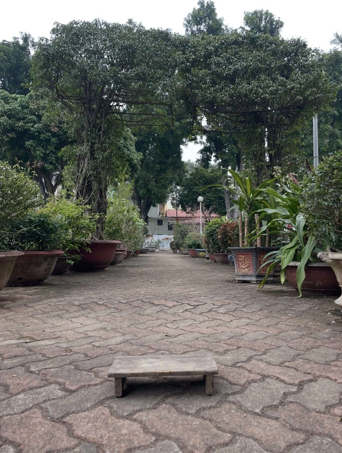 The World’s Smallest Bench
