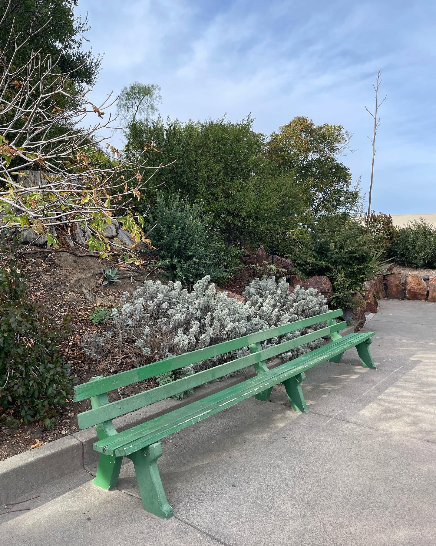 SF Skyline Bench