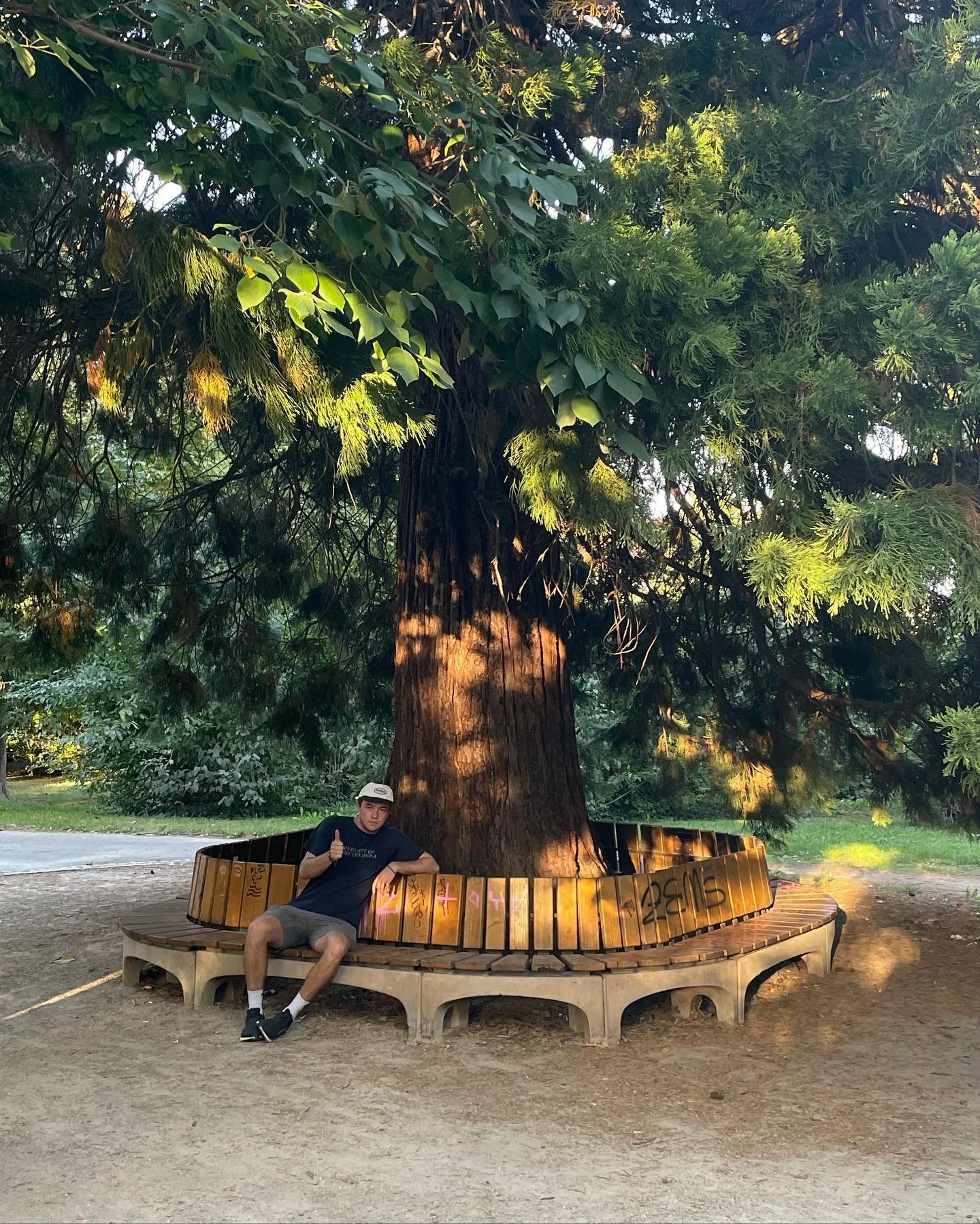 Is Vienna the Best Bench City in the World? 