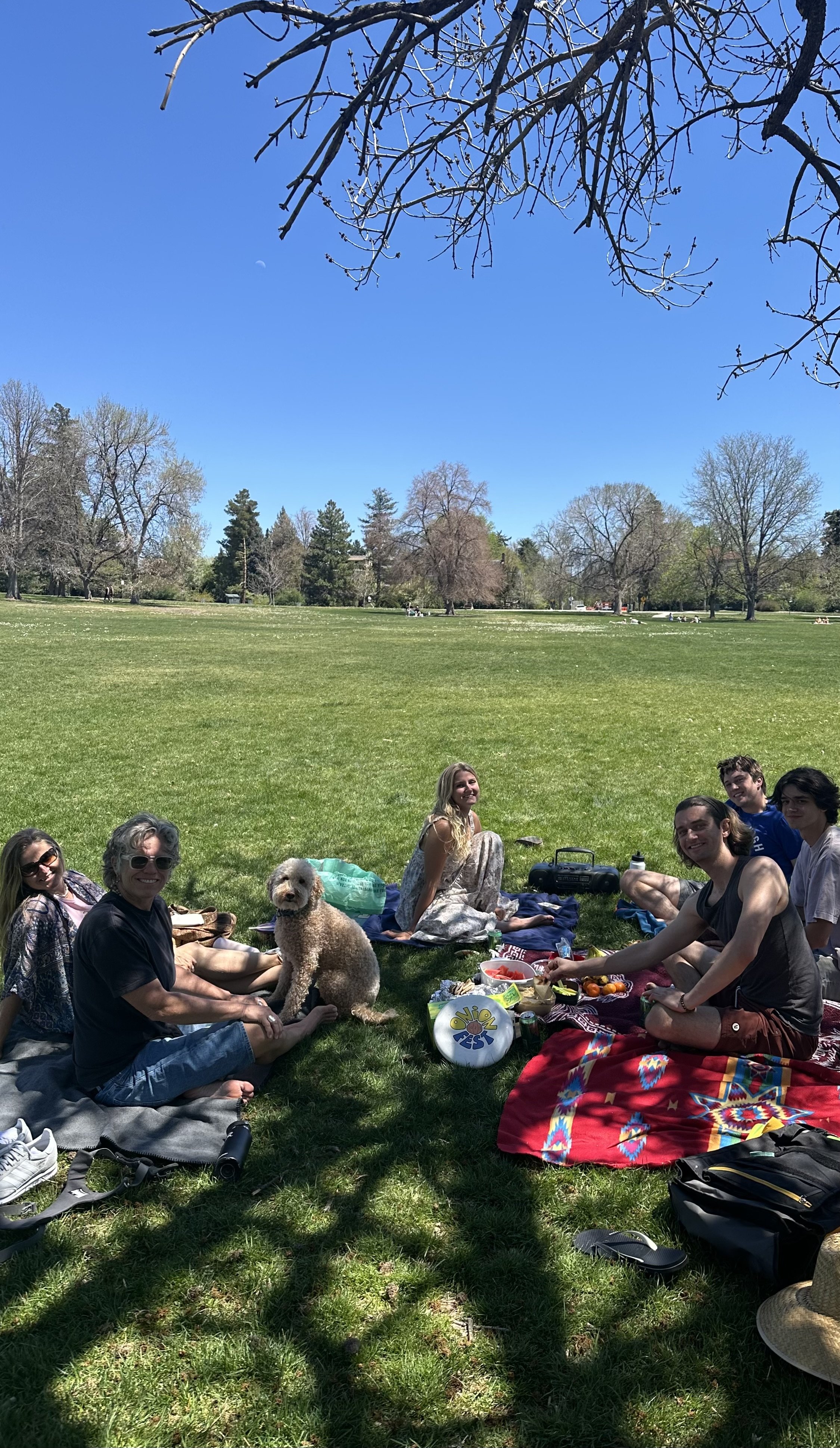 Picnic 1 - Cheeseman Park