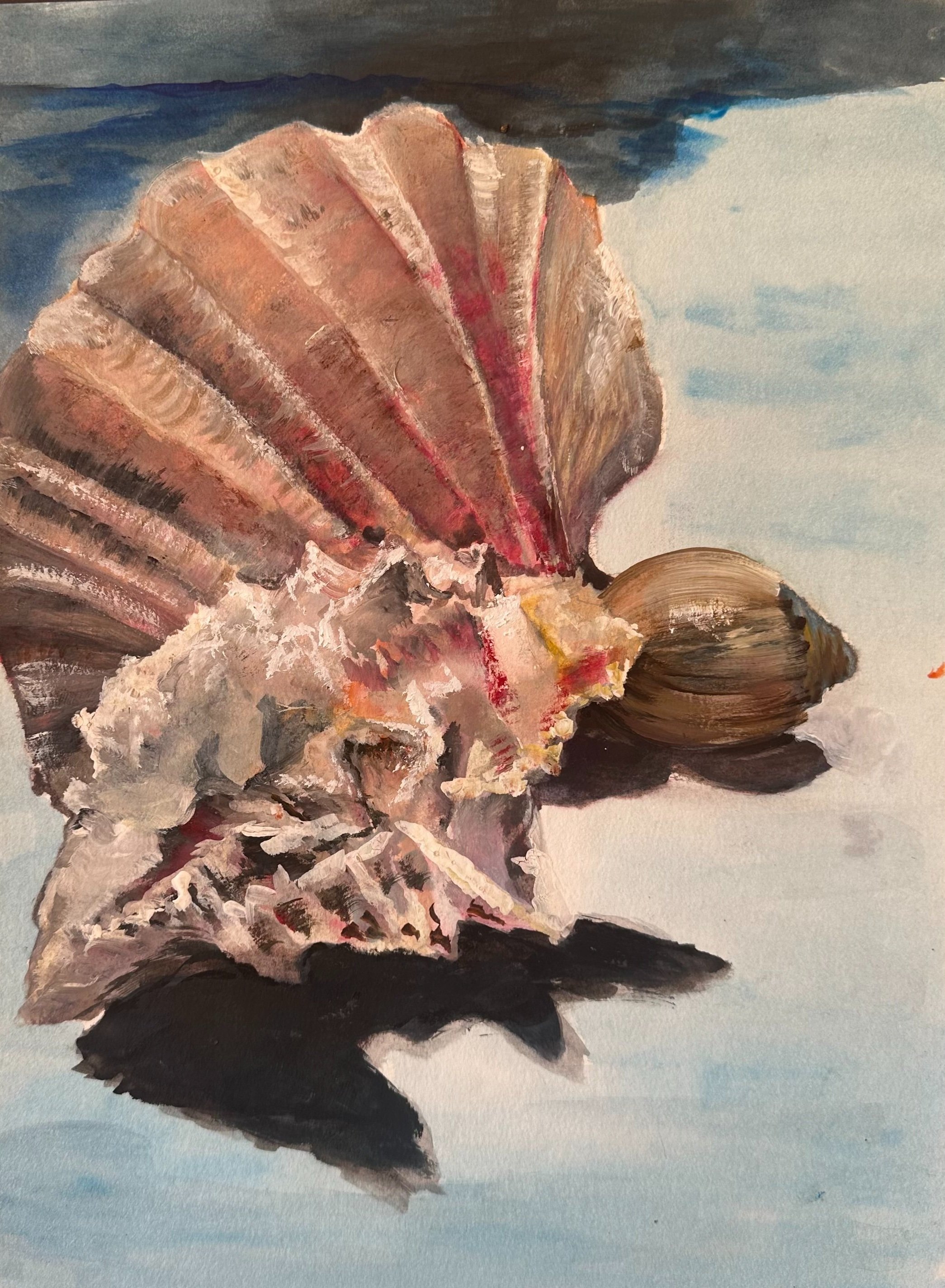 Sea of Shells