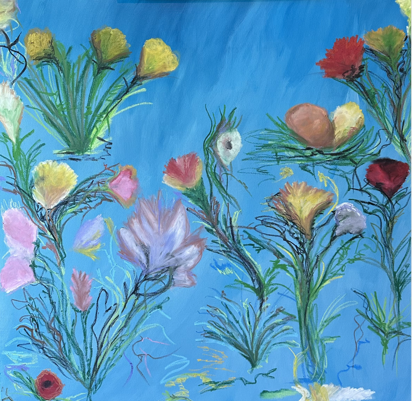 Screenshot 2025-07-02 at 12.54.52 PM.png