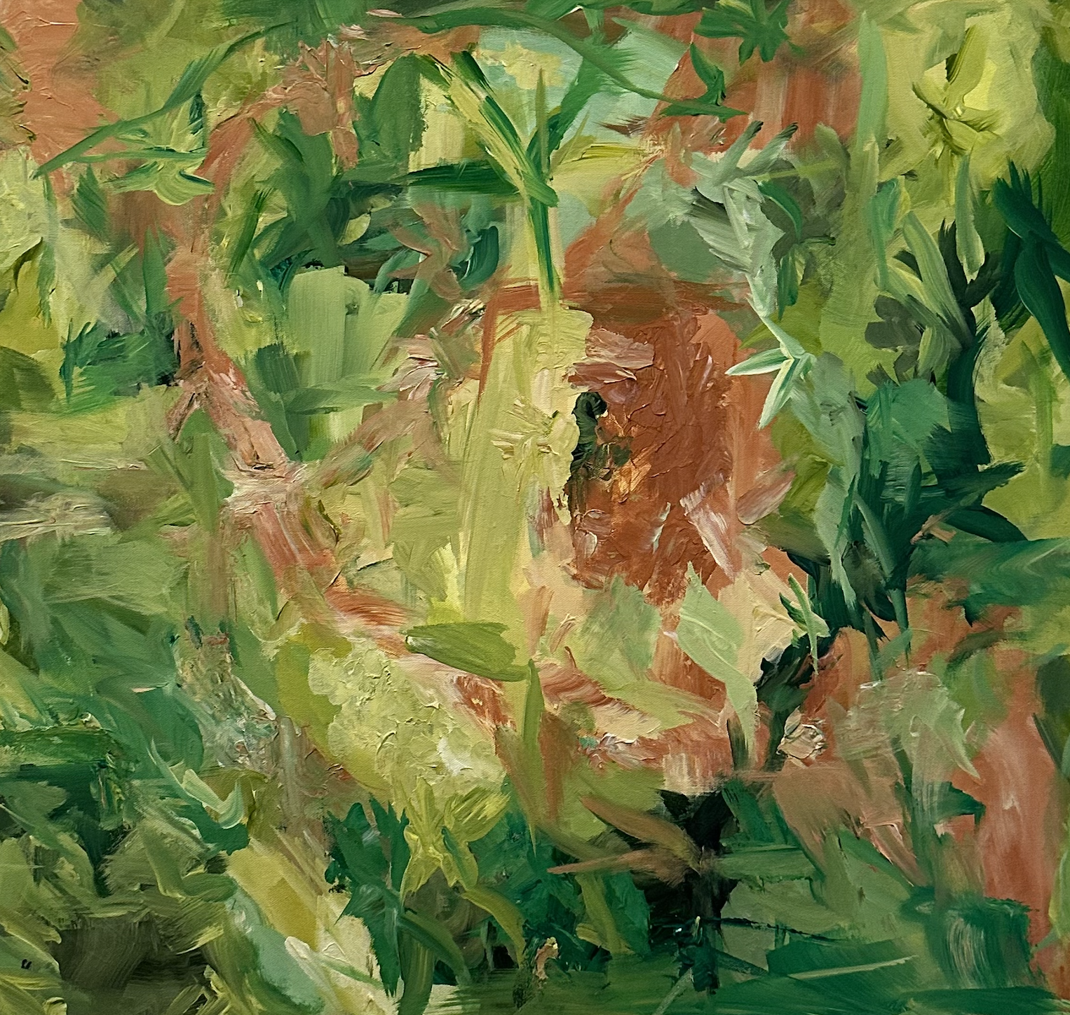 Screenshot 2025-06-12 at 1.29.57 PM.png