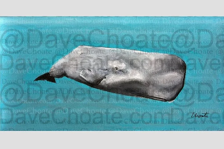 whale_sqsp.jpg
