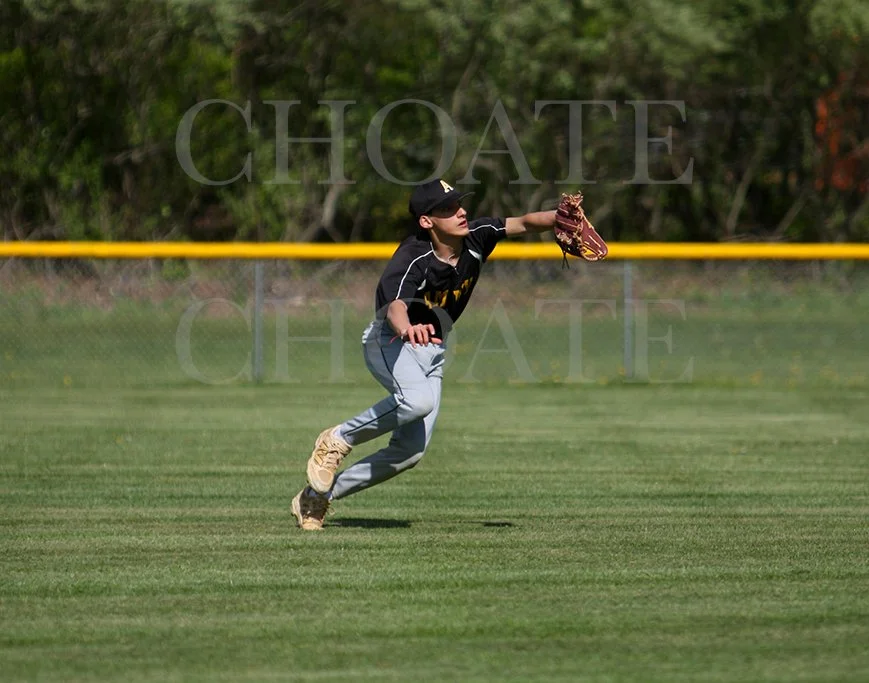 Amity vs Shelton 353