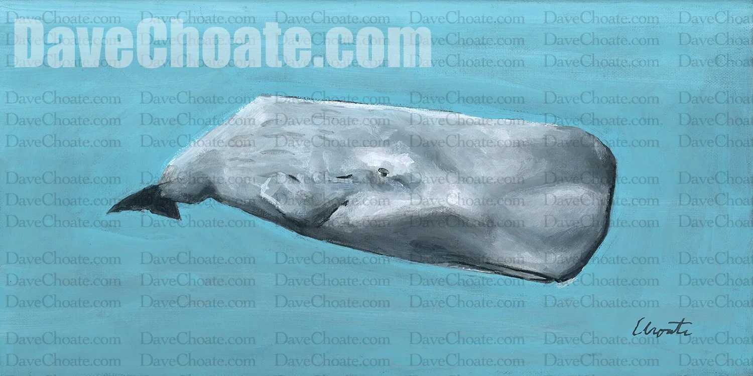 Sperm Whale. Original acrylic painting. Measures 6" x 12"