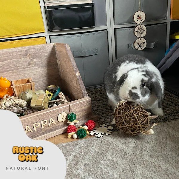 iap_600x600.5623624442_g70kg0z1.jpg