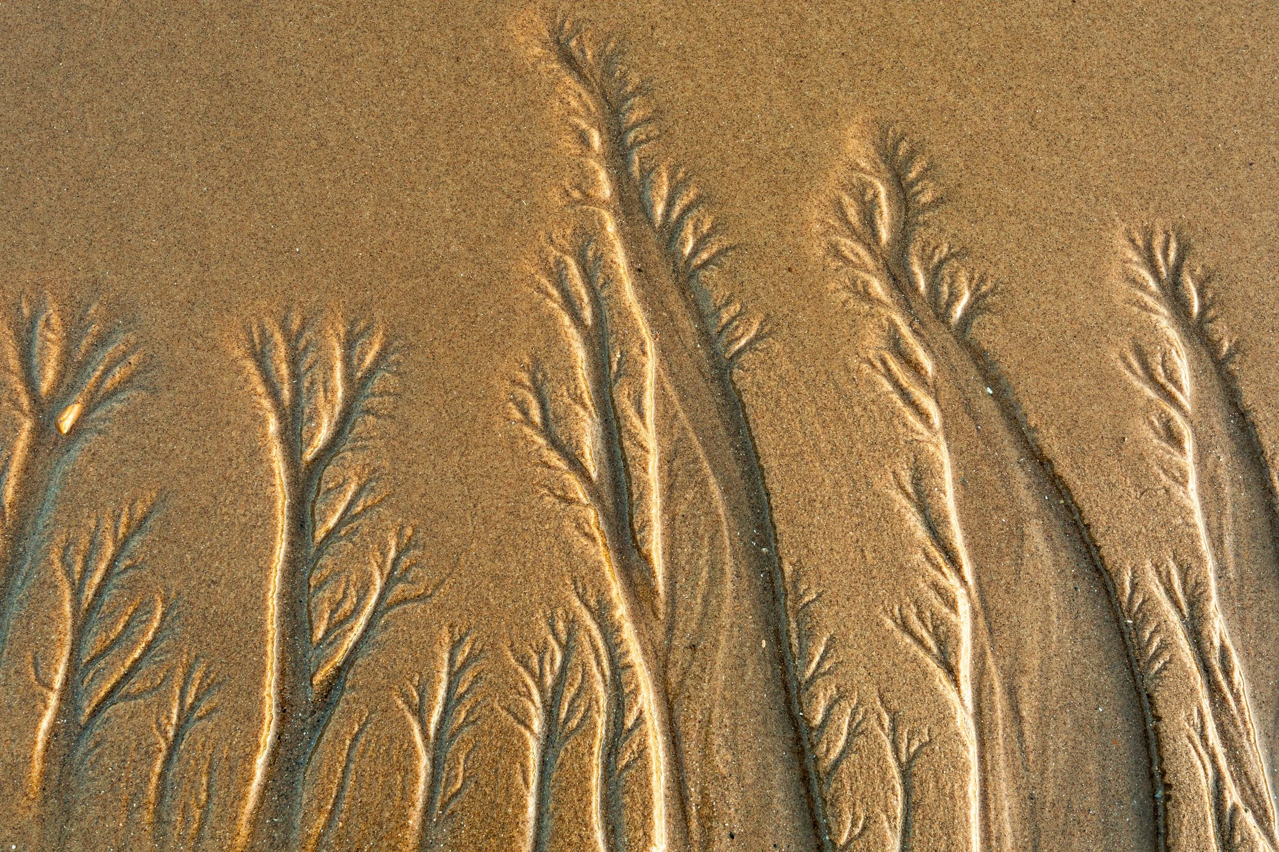 4J7A2964.jpg