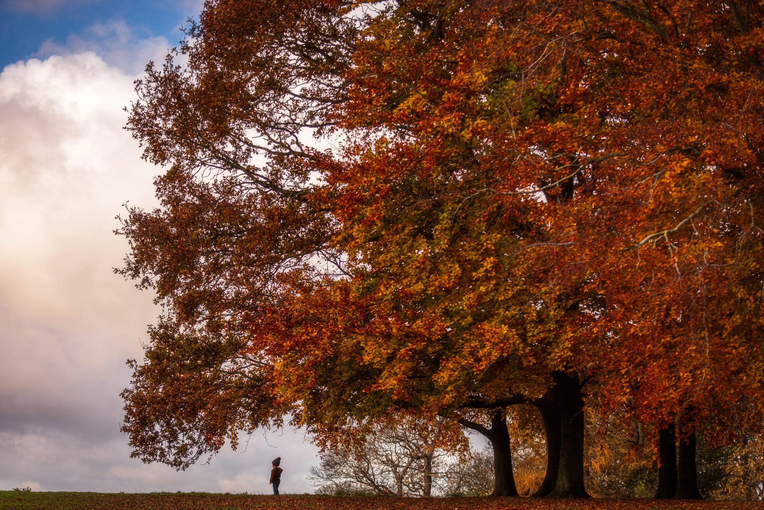 _R0A7686-Edit.jpg