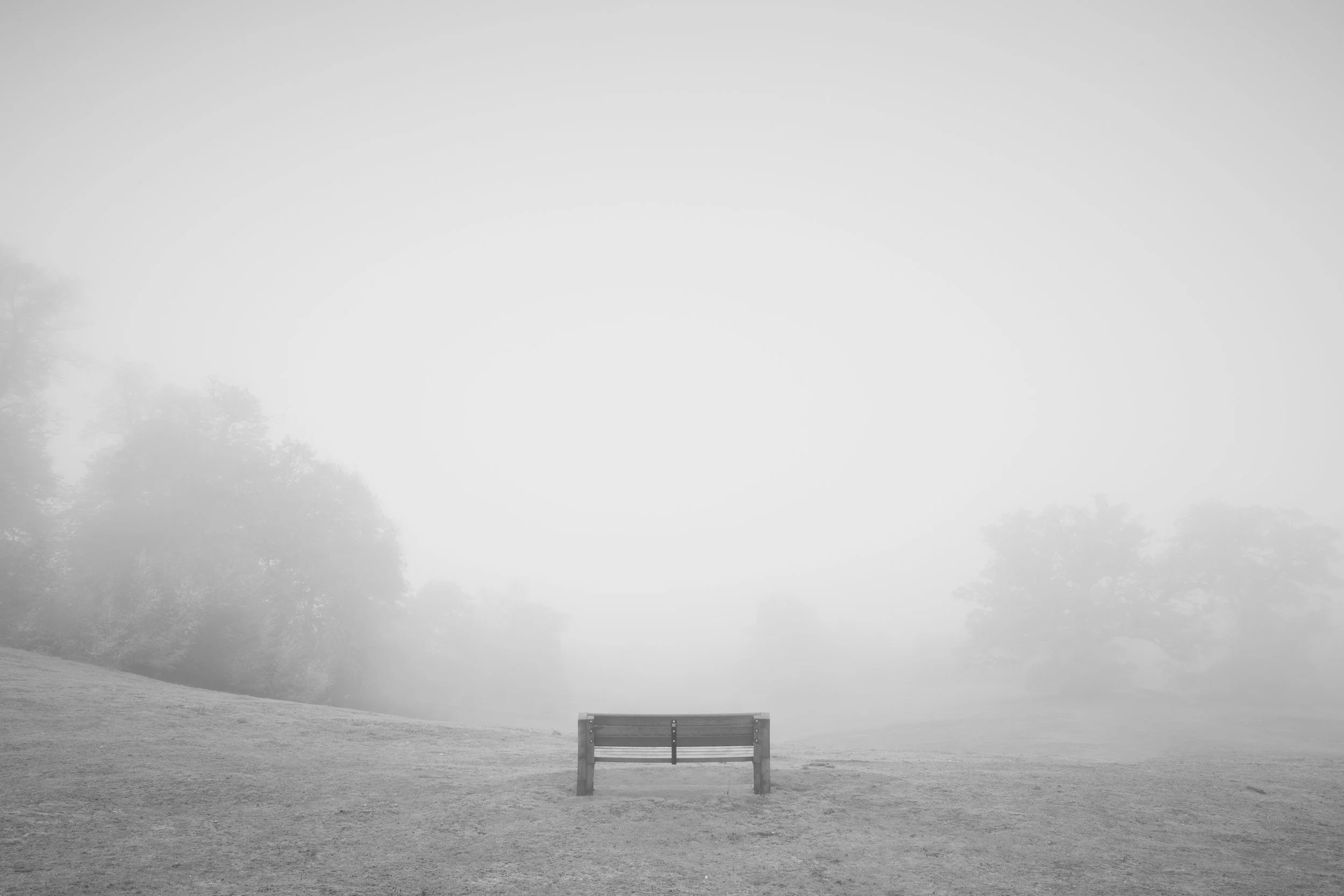 A solitary wooden park bench in a foggy landscape with faint trees in the background.