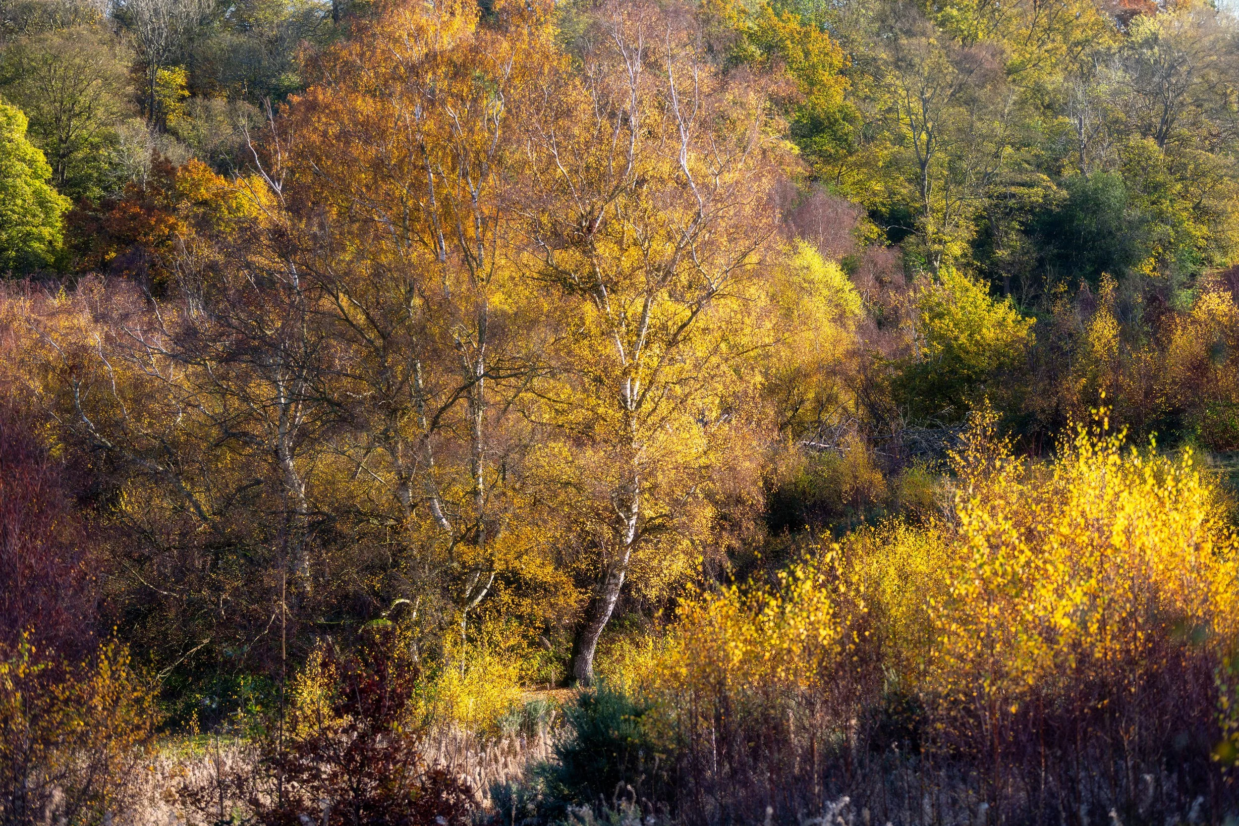 _R0A7579-Edit.jpg