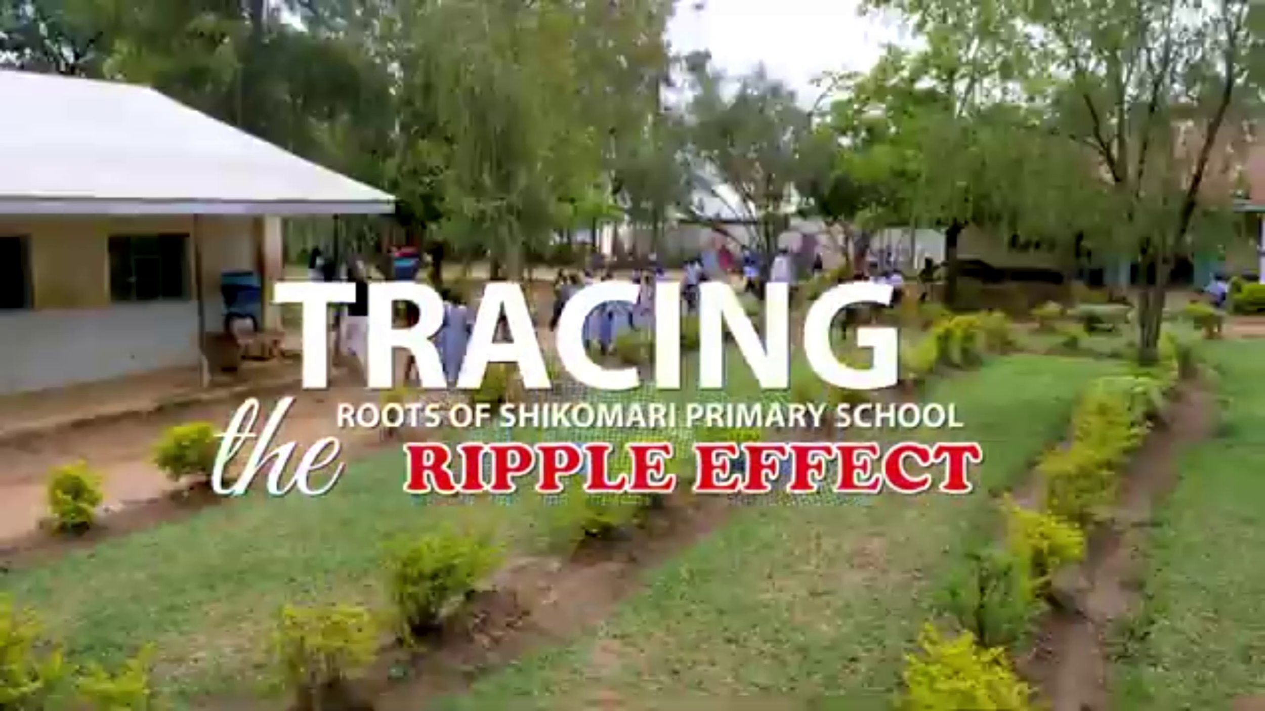 Tracing the Roots of Shikomari Primary School