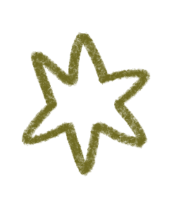 Forma de estrella de color verde oliva con 5 picos