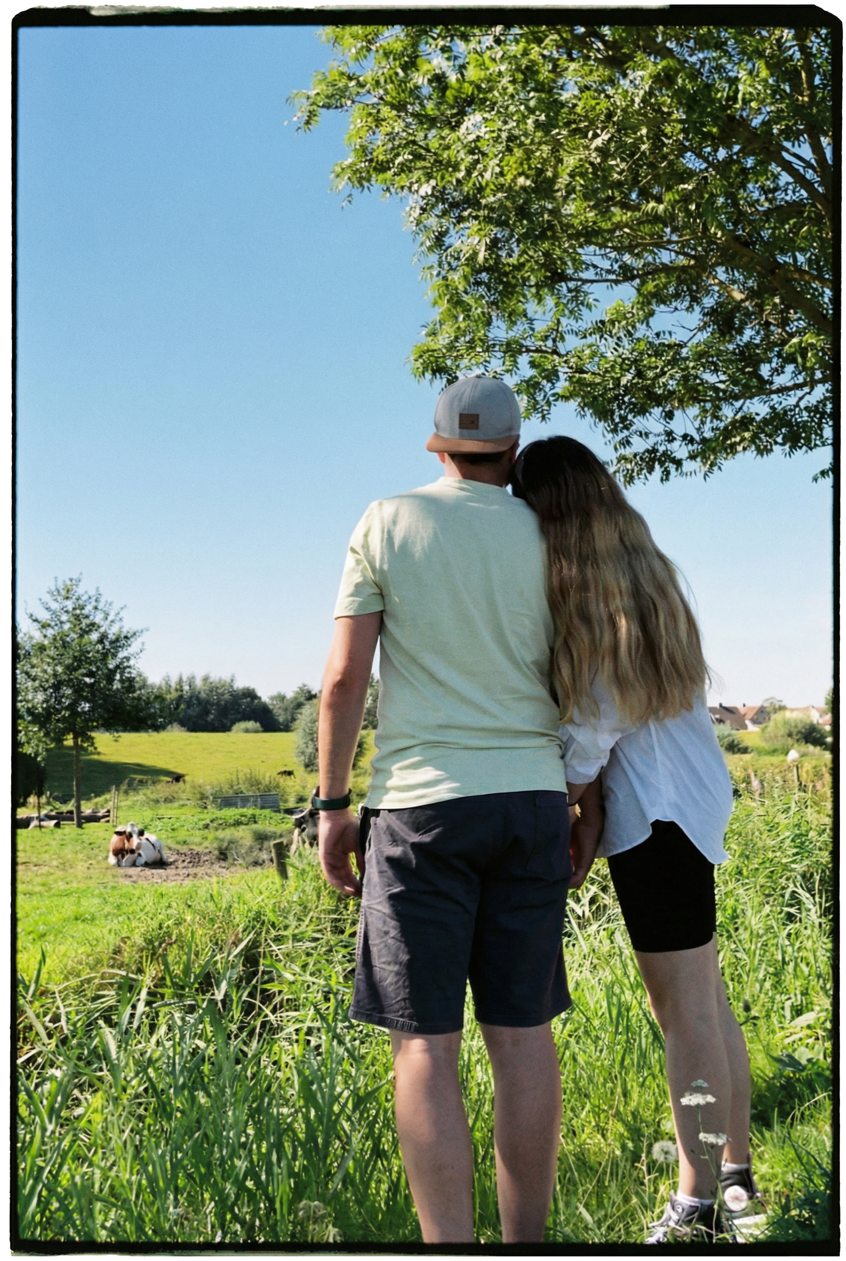 Una pareja caminando en un campo verde con vacas acostadas en el pasto, árboles y casas en el fondo bajo un cielo despejado.