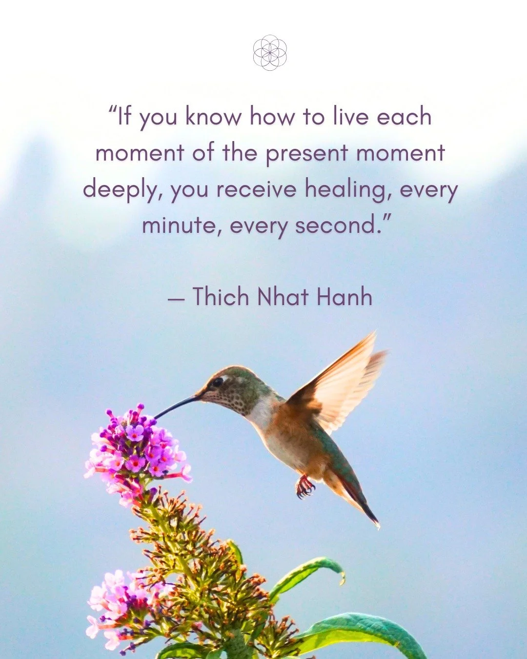 “If you know how to live each moment of the present moment deeply, you receive healing, every minute, every second.” — Thich Nhat Hanh⠀
⠀
Healing is not a distant goal — it’s available to us right now, in the here and no