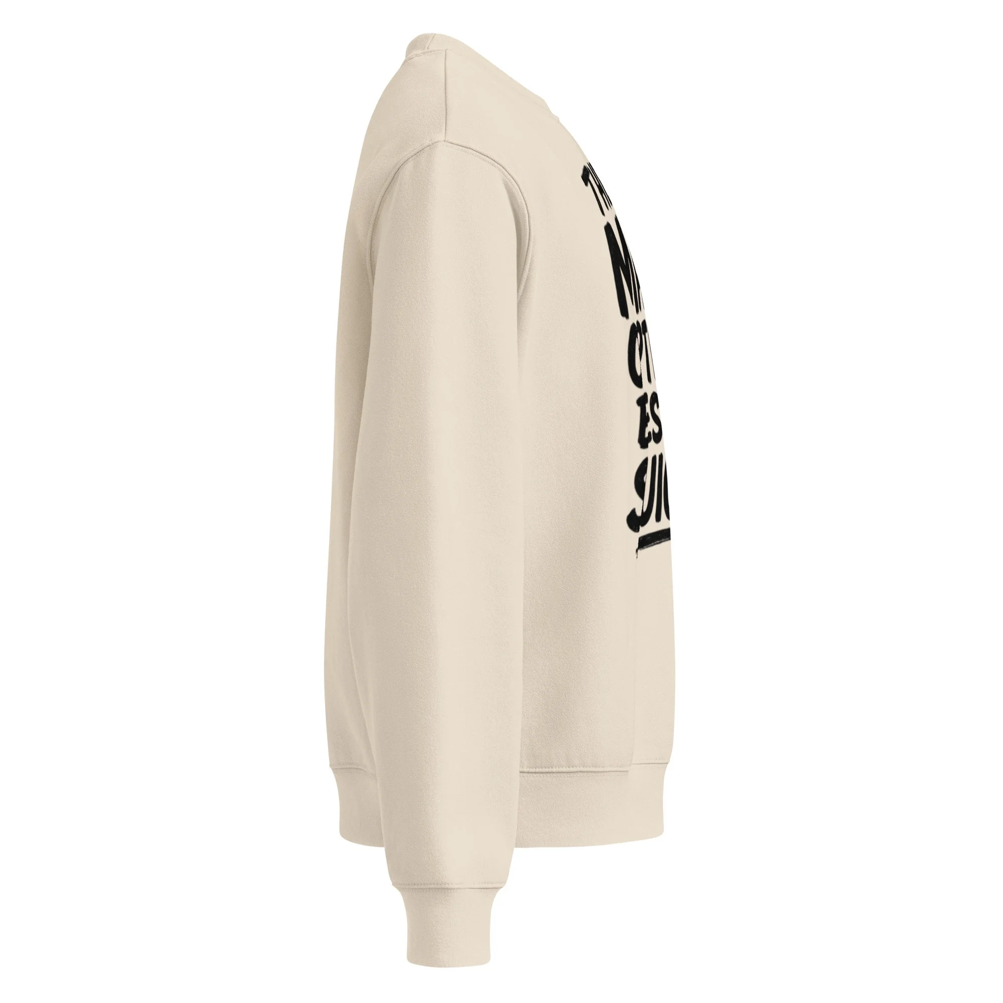 unisex-oversized-heavyweight-sweatshirt-dust-right-68a0d3d035566.jpg