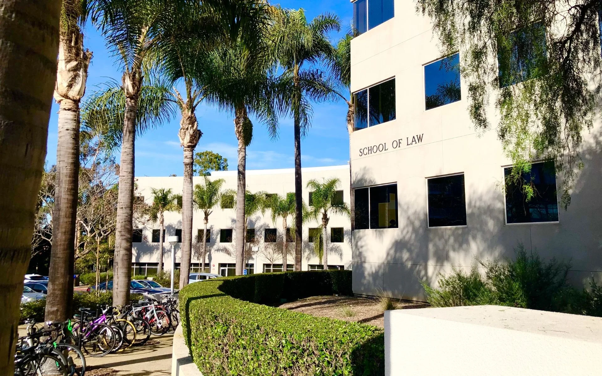 Empowering Local Small Businesses: Utilizing the UCI Law Startup and Small Business Clinic