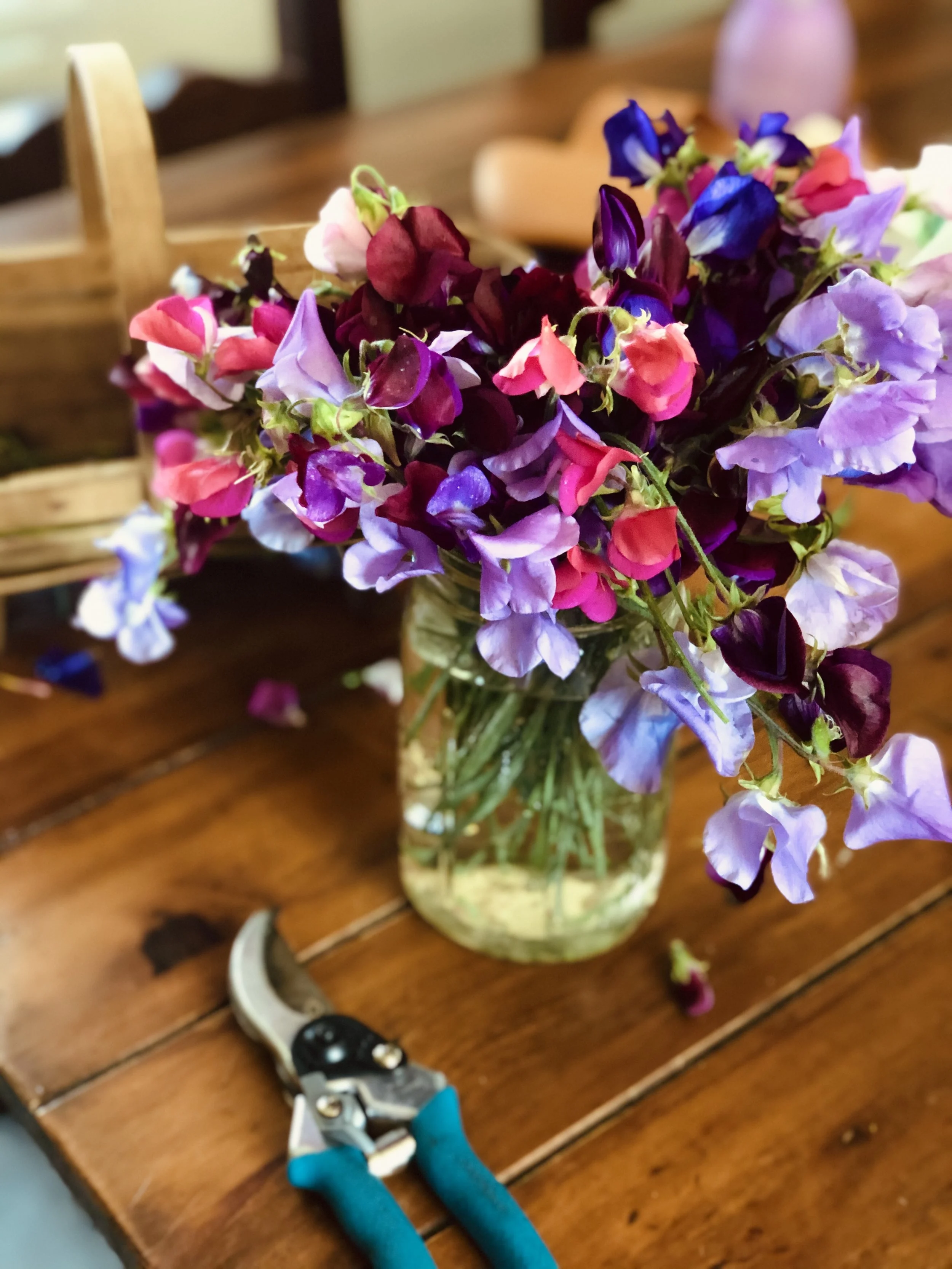 IMG_5679.jpeg