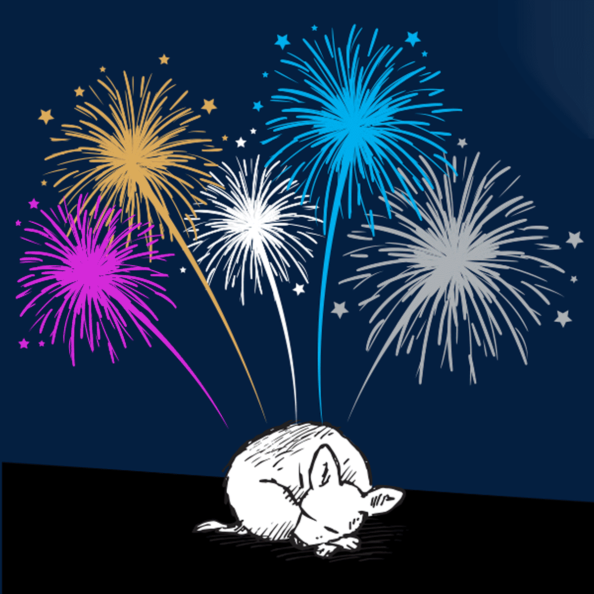 BS121_SMS_NYE_CBD.gif