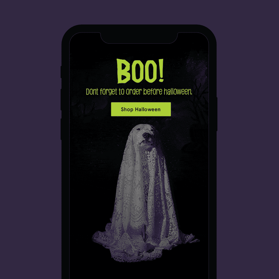 BARK_UX_Emails_Boo_900.gif