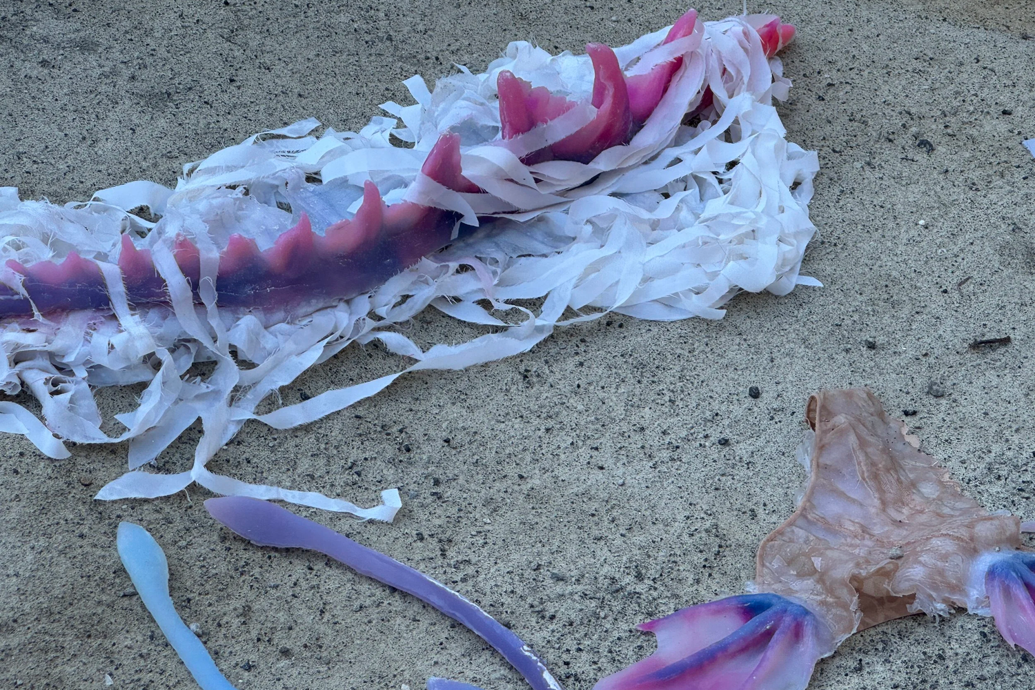 Agnes Questionmark Banner 3