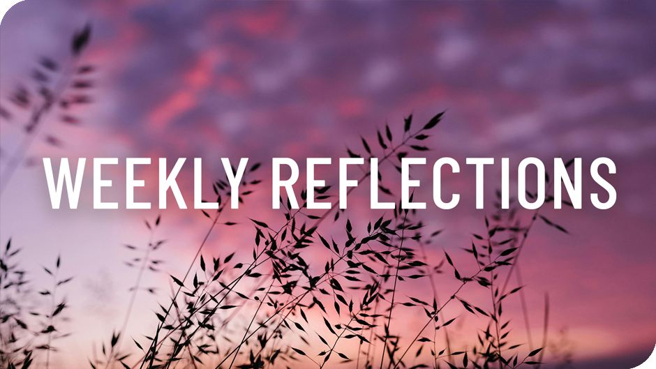 Weekly Reflections