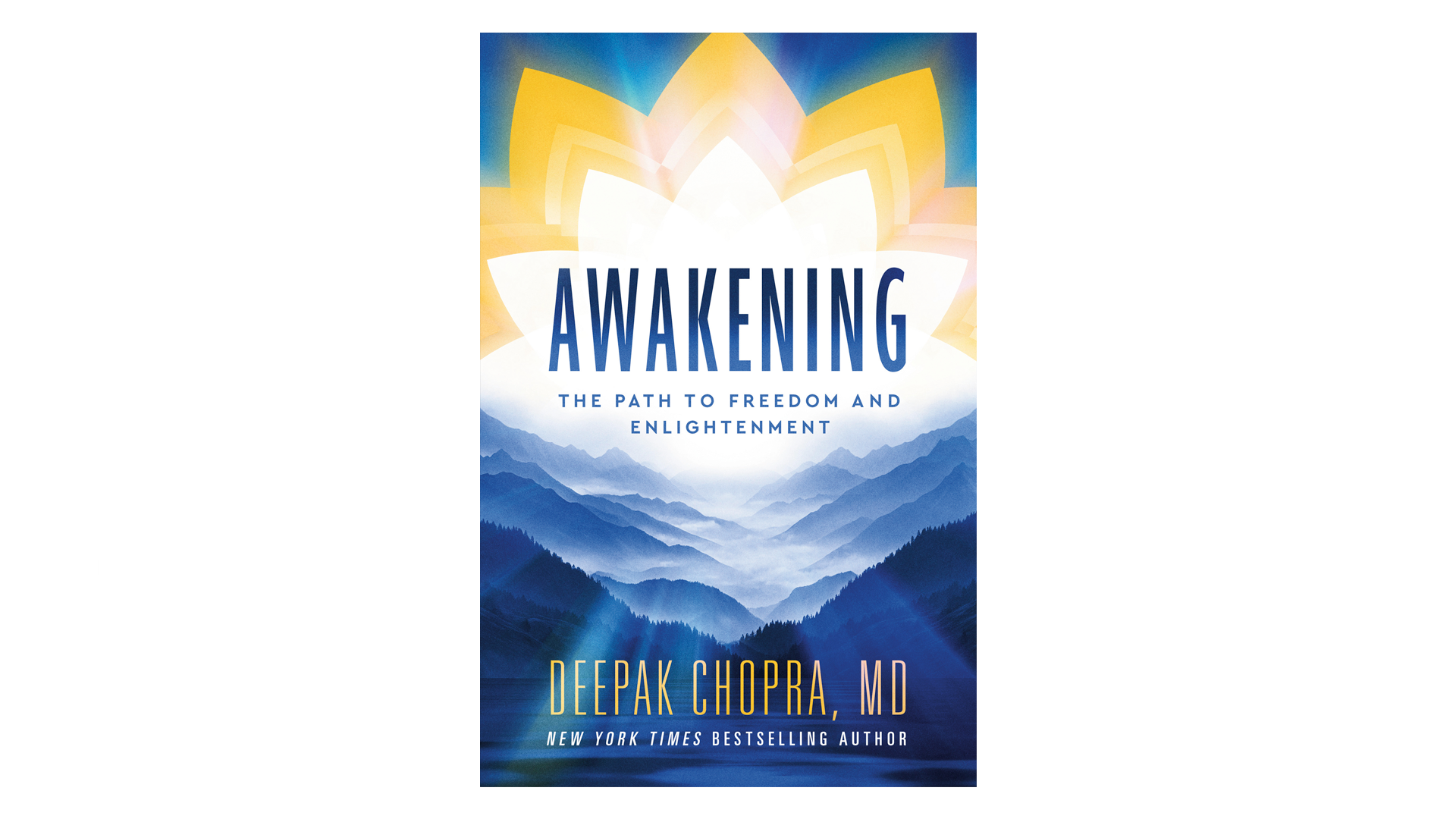 awakening-book-slide.png