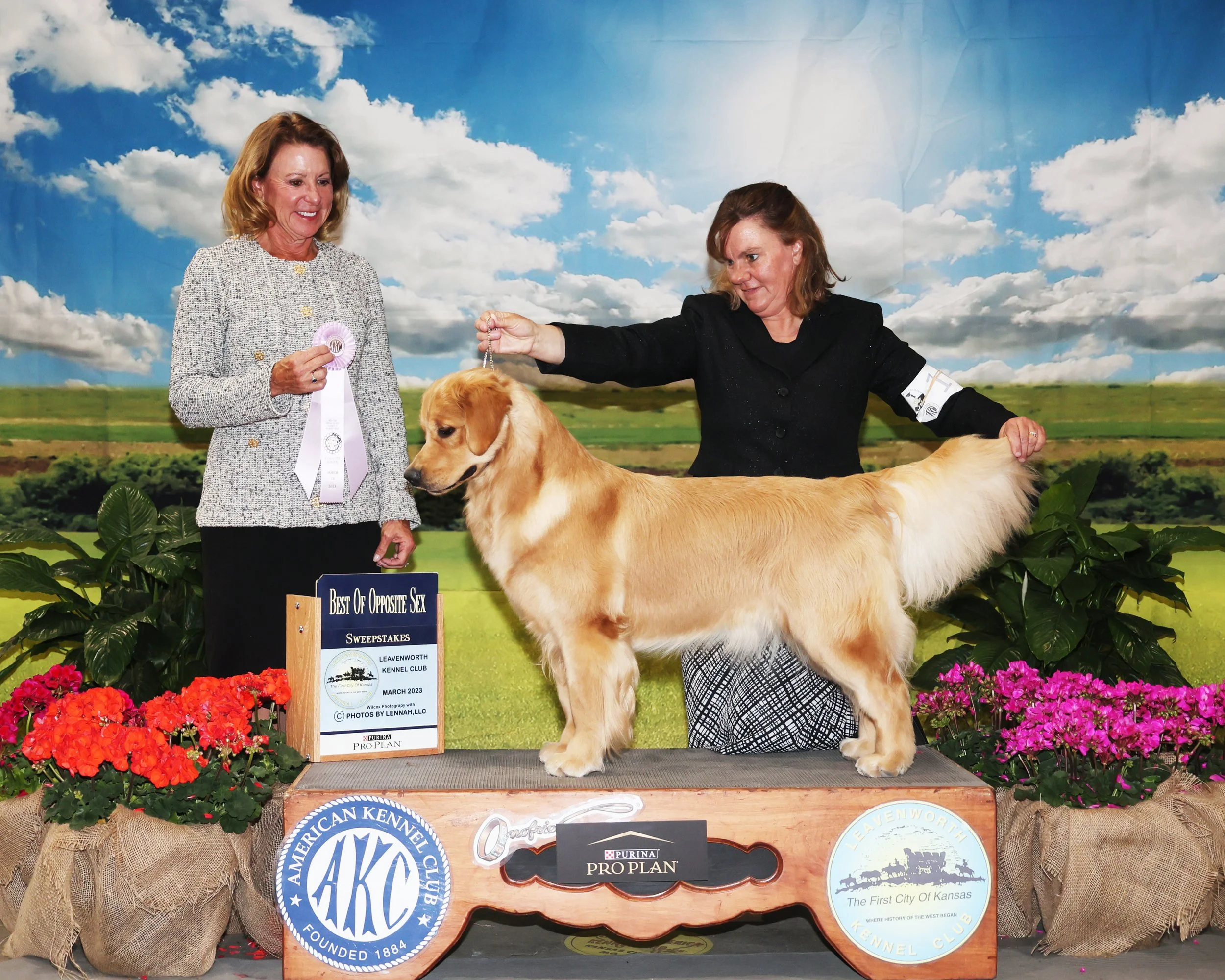 PBL23KC3-0256-WEB 2.jpg