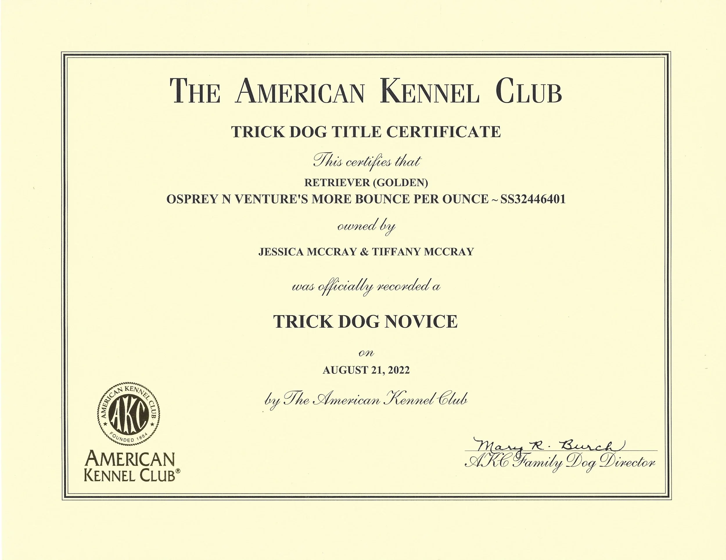 Bounce_TKN_cert.jpg