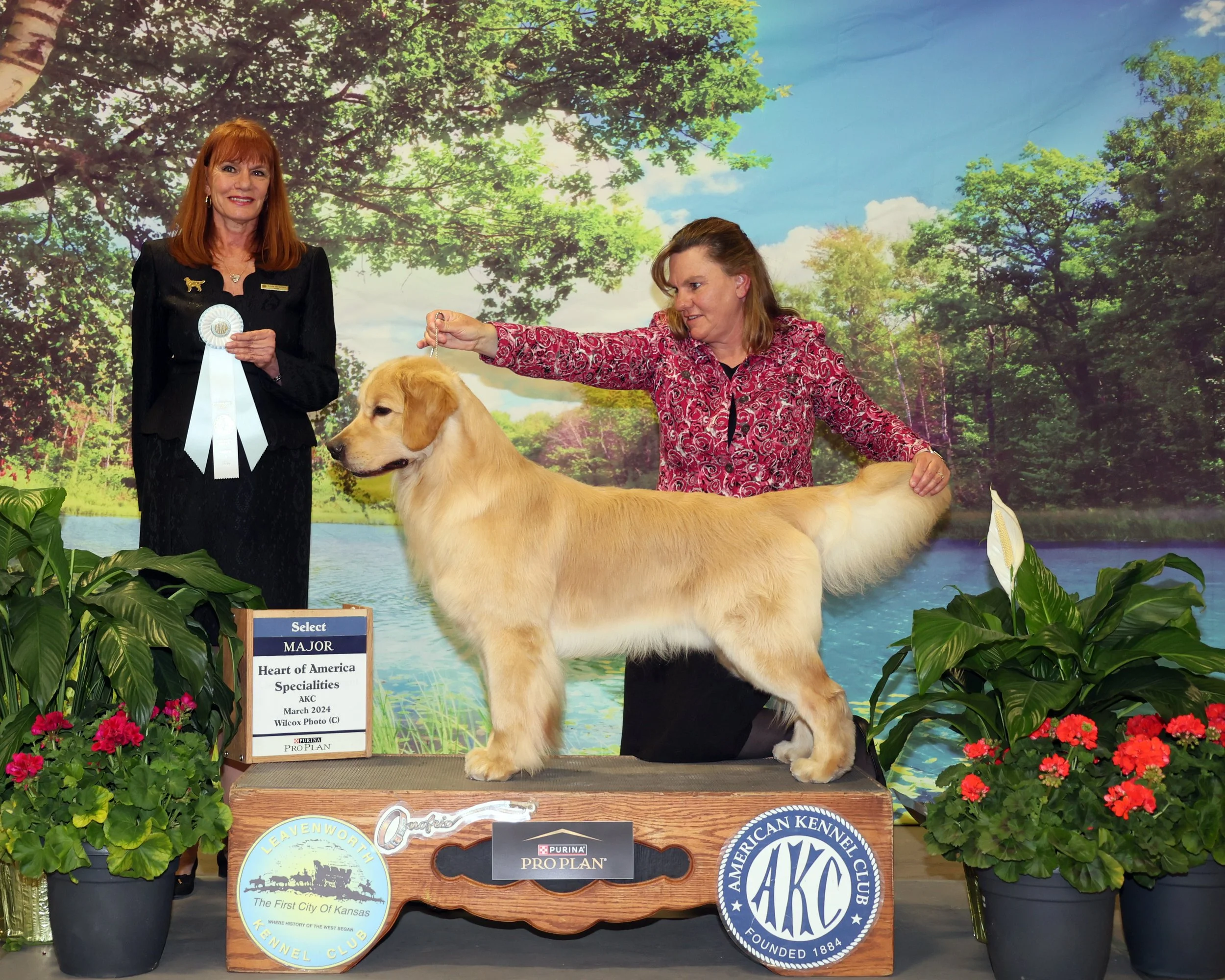 PBL24B2-0194-WEB 2.jpg