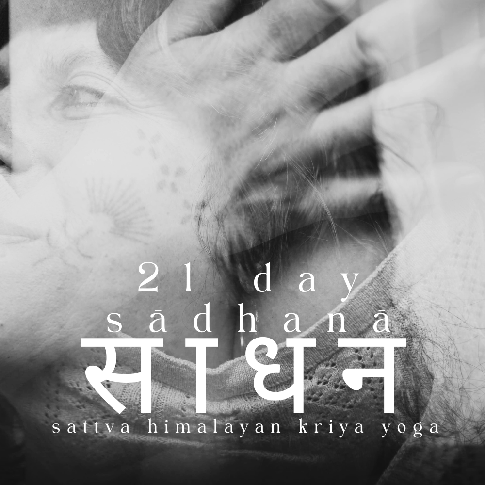 sadhana_strong spine soft heart.png