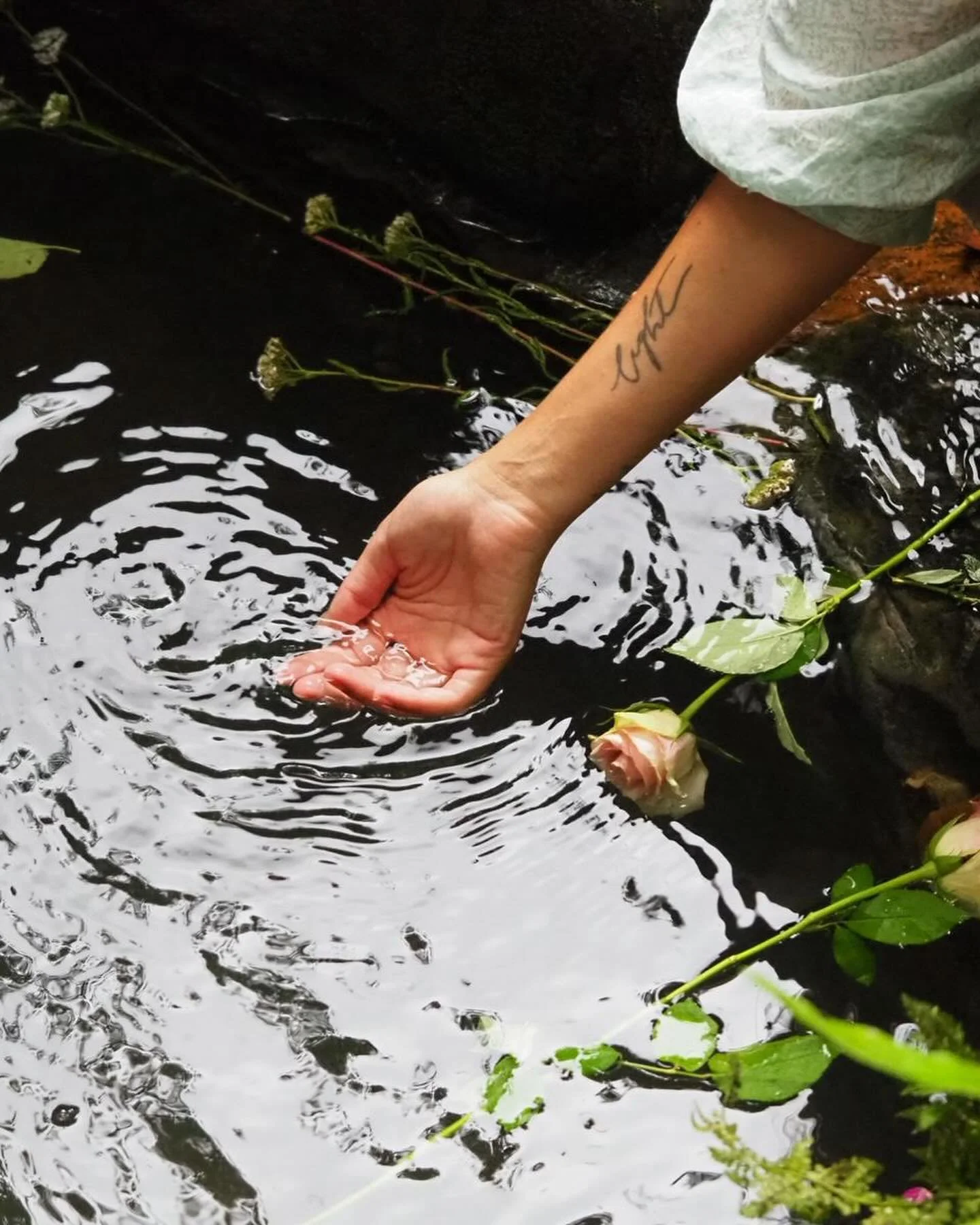 🌹Some little glimpses of Mary Magdalene Feast day July 22nd.

🌹Honoured this day with hosting an embodied sensual feast, prayer, and blessings at the sacred springs.  Loved bringing this Venusian vision to life✨

🌹Such a beautiful weaving with sis