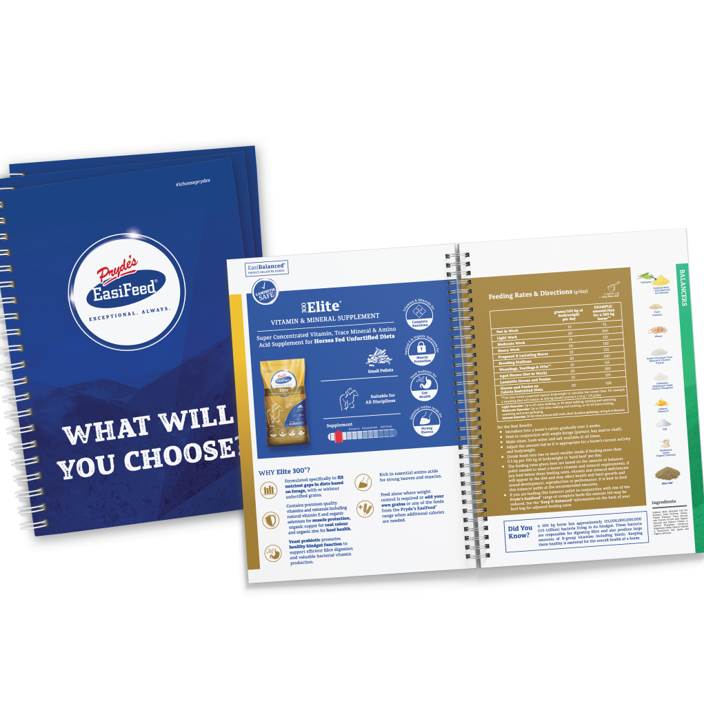 Pryde's blue book.png