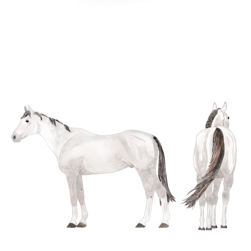 BCS 5 horse.png