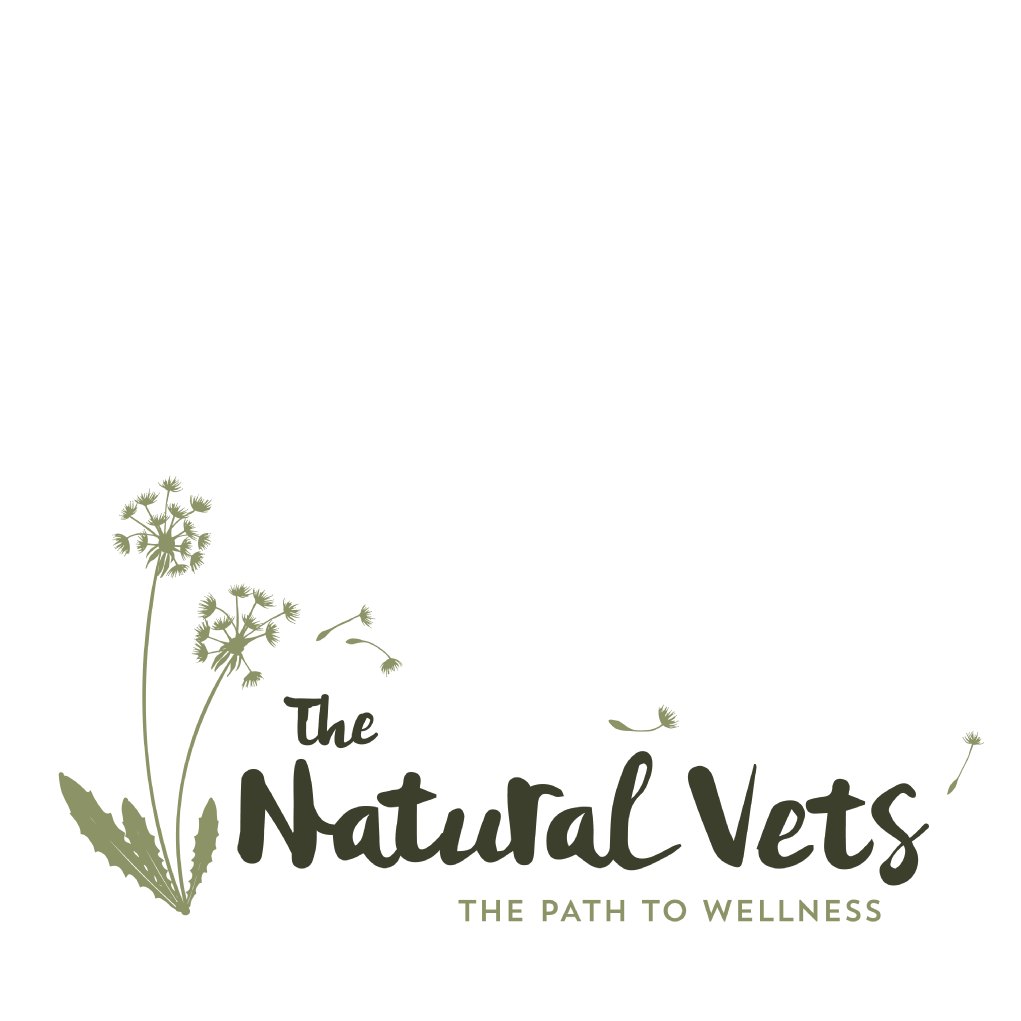 TNV logo.png
