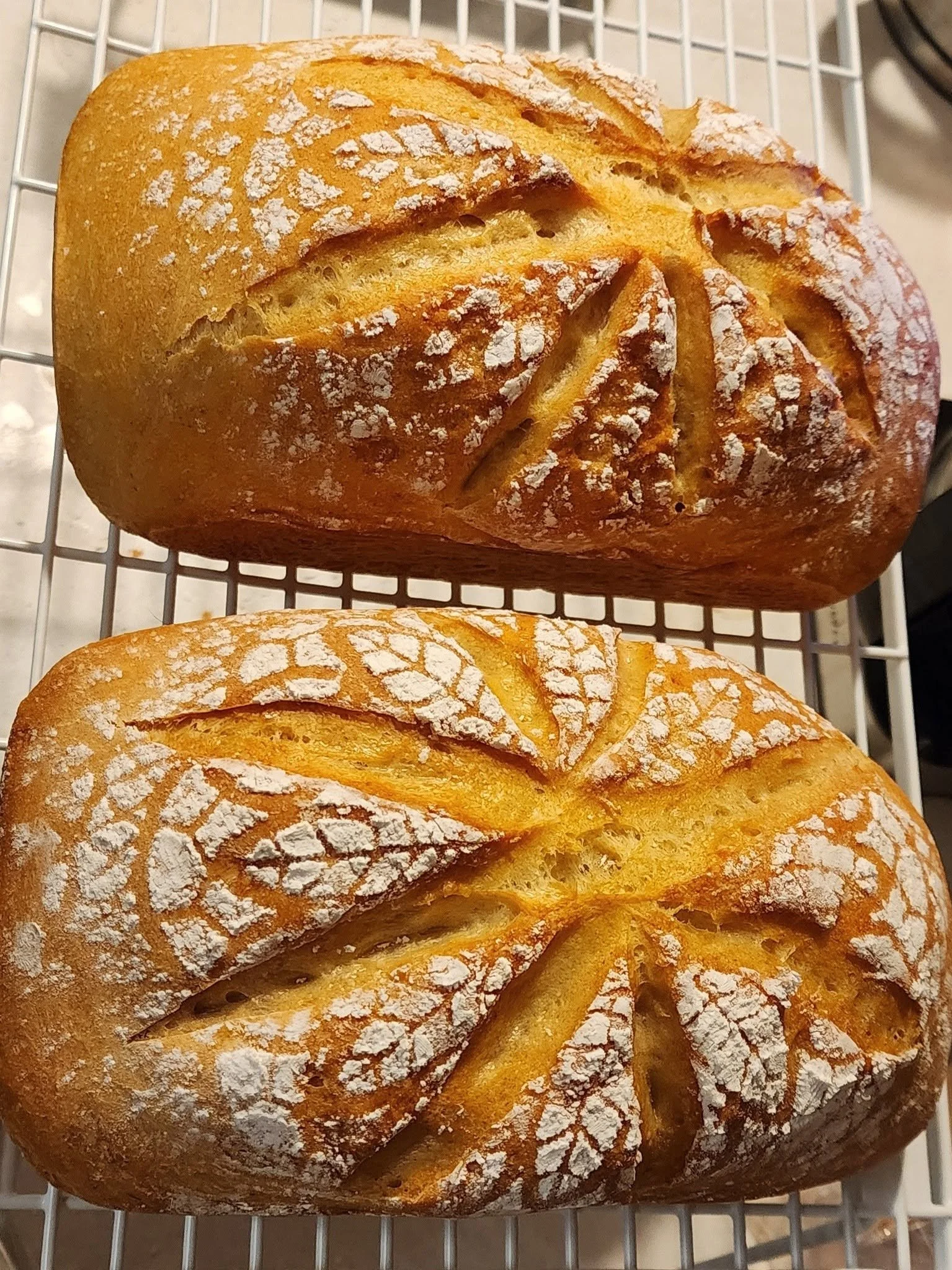 white Bread w design.jpg