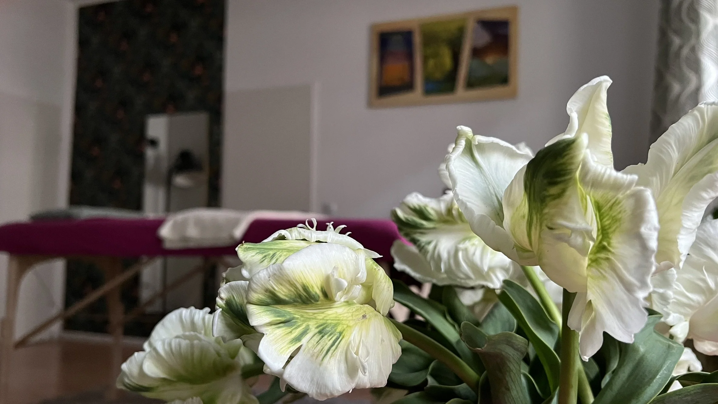 Weiße Blumen mit grünen Flecken auf den Blüten, im Hintergrund ein Praxisraum mit Wandbildern und einer Massageliege mit pinkem Leintuch.