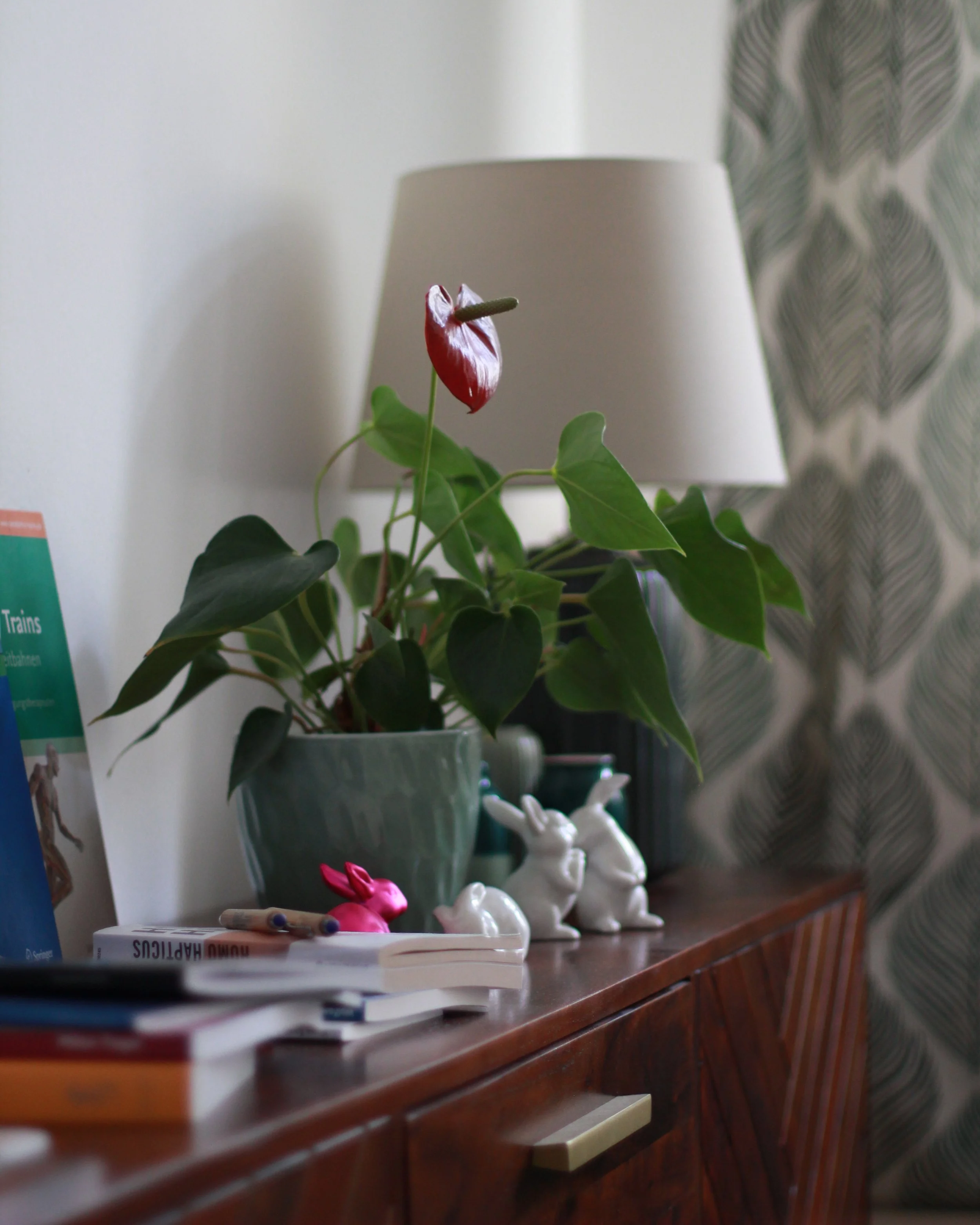Ein Blumenstrauß mit einer roten Anturie an einem Blumentopf. Hintergrund mit weißen und grauen Mustertapeten und einer Lampenschirm. Vordergrund mit Bücher, Stiften und dekorativen Hasenfiguren auf einem Holztisch.