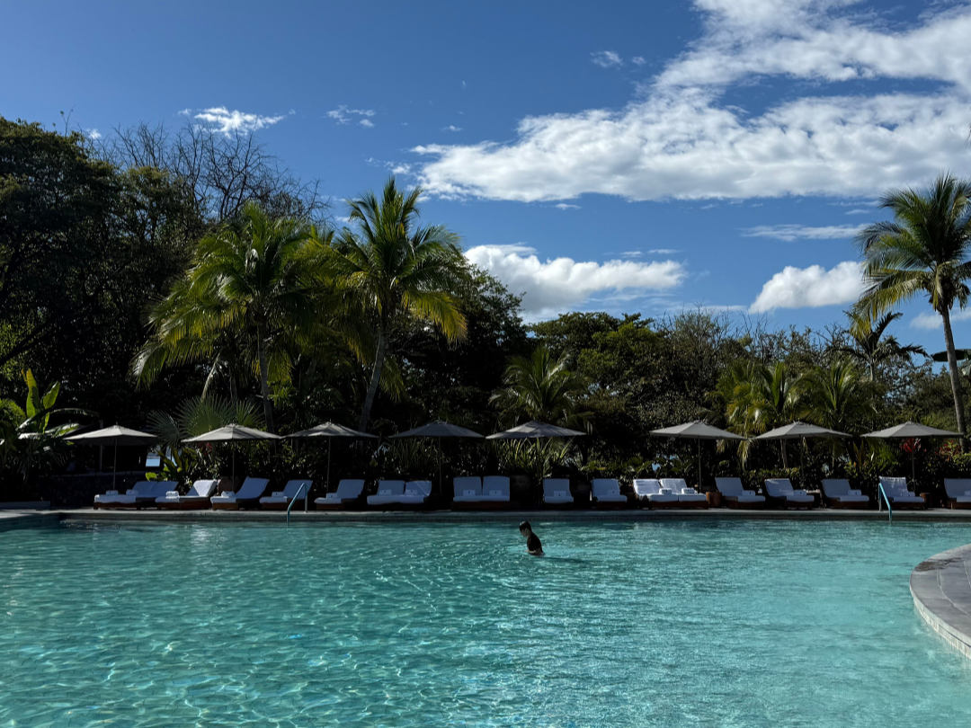A resort pool with lounge chairs and umbrellas, surrounded by palm trees under a partly cloudy sky.