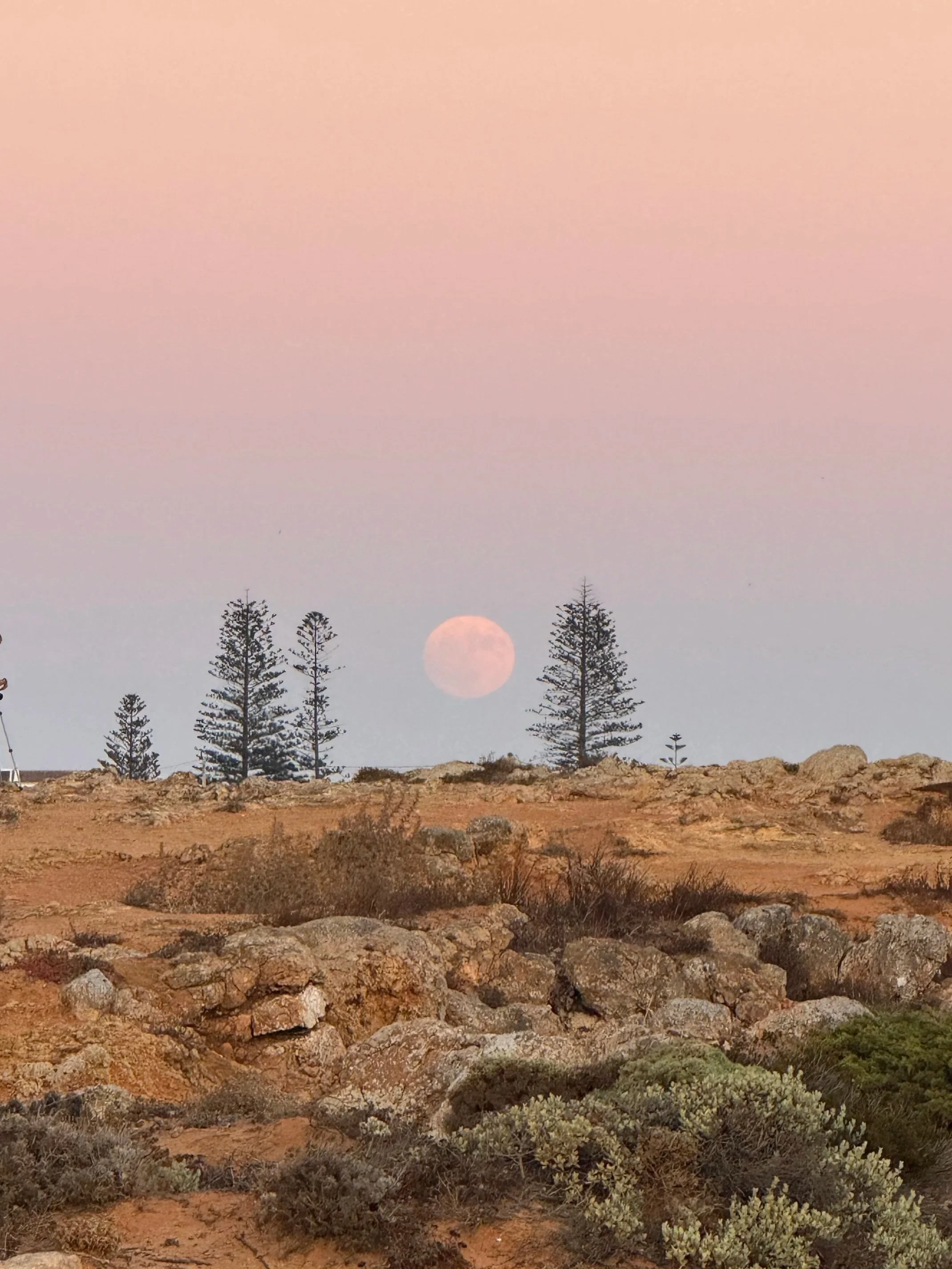 Wild Beauty and Endless Play at the End of the Earth: A Family Stay at Martinhal Sagres