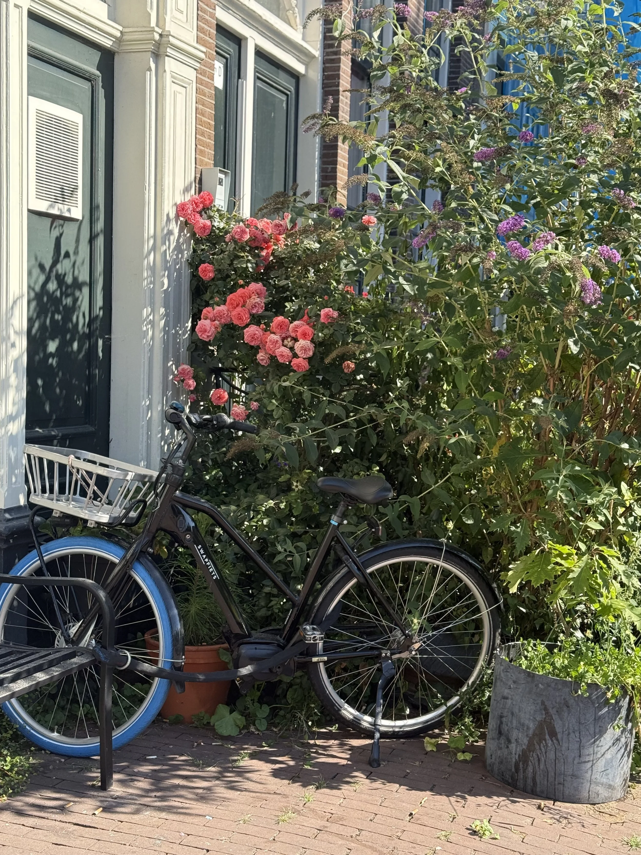 Amsterdam with Kids: A 7-Day Family Itinerary (with Day Trips in the Netherlands)