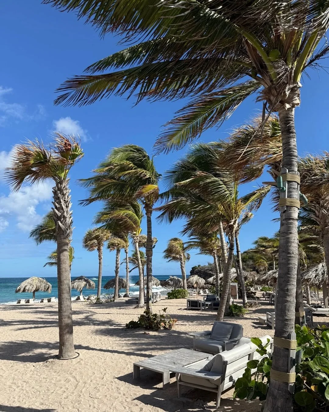 圣巴泰勒米岛，臻于完美。🍾

这里是法式精致打磨的加勒比天堂。午餐堪称活动，海滩值得为之卸行囊，日落时分人人都更显风华。

若想体验低调奢华，下榻玫瑰木勒瓜纳哈尼酒店。 