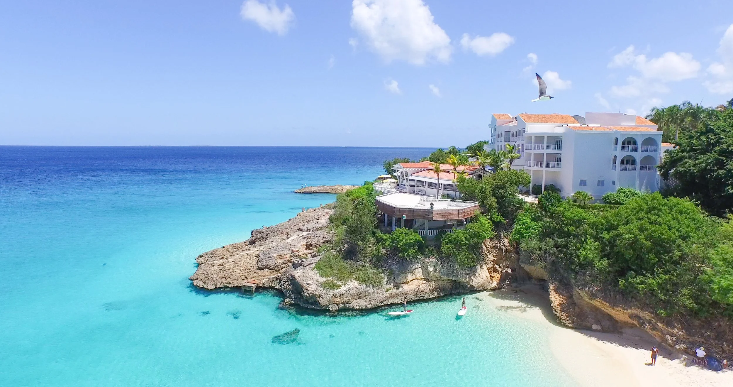 Overview - Property.jpg