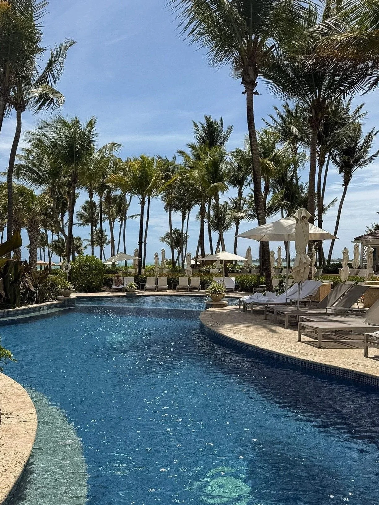 four-seasons-puerto-rico-pool-lounge-chairs-palm-trees.jpg