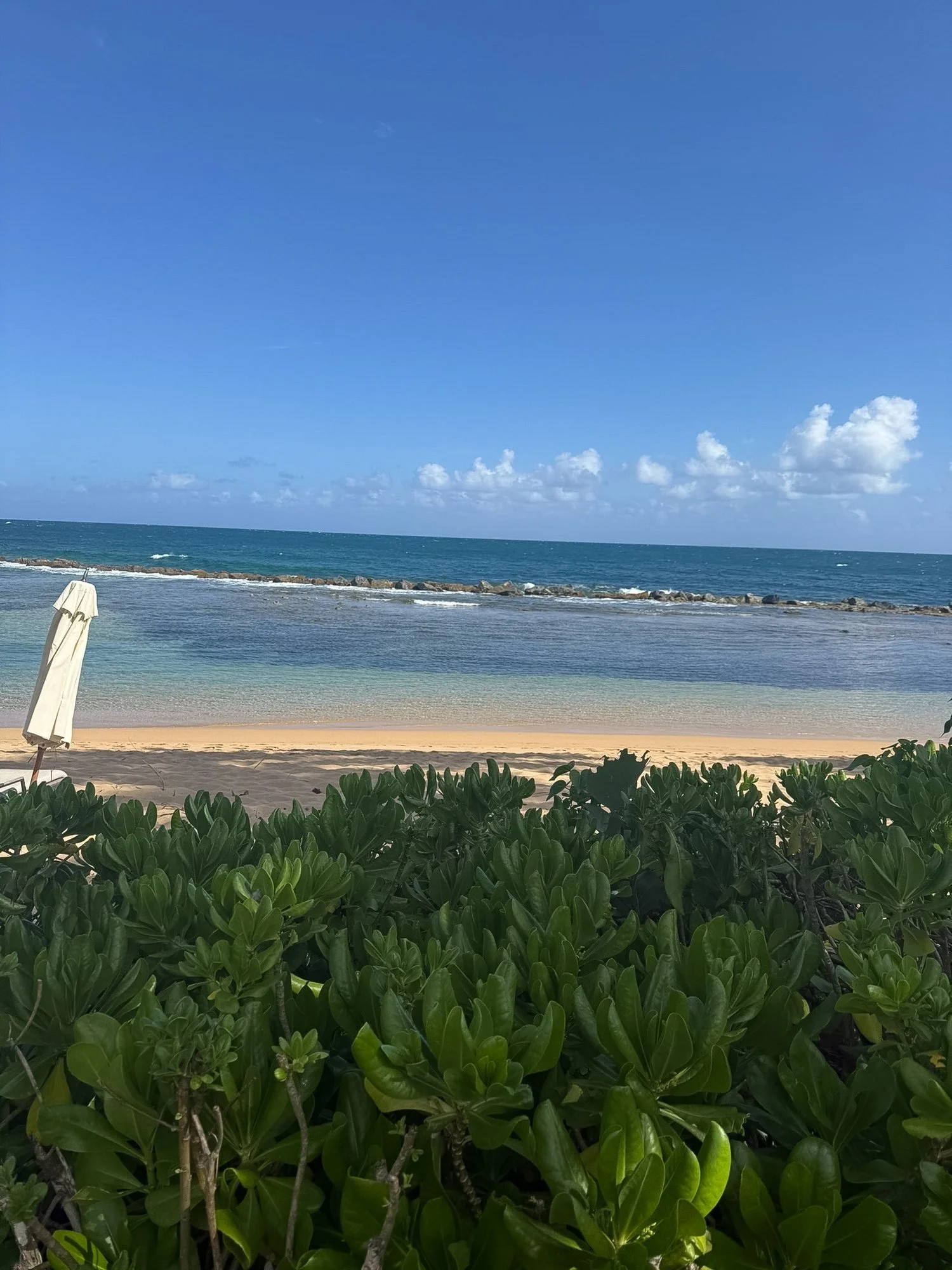dorado-beach-ritz-carlton-reserve-puerto-rico-lagoon-beach-view.jpg
