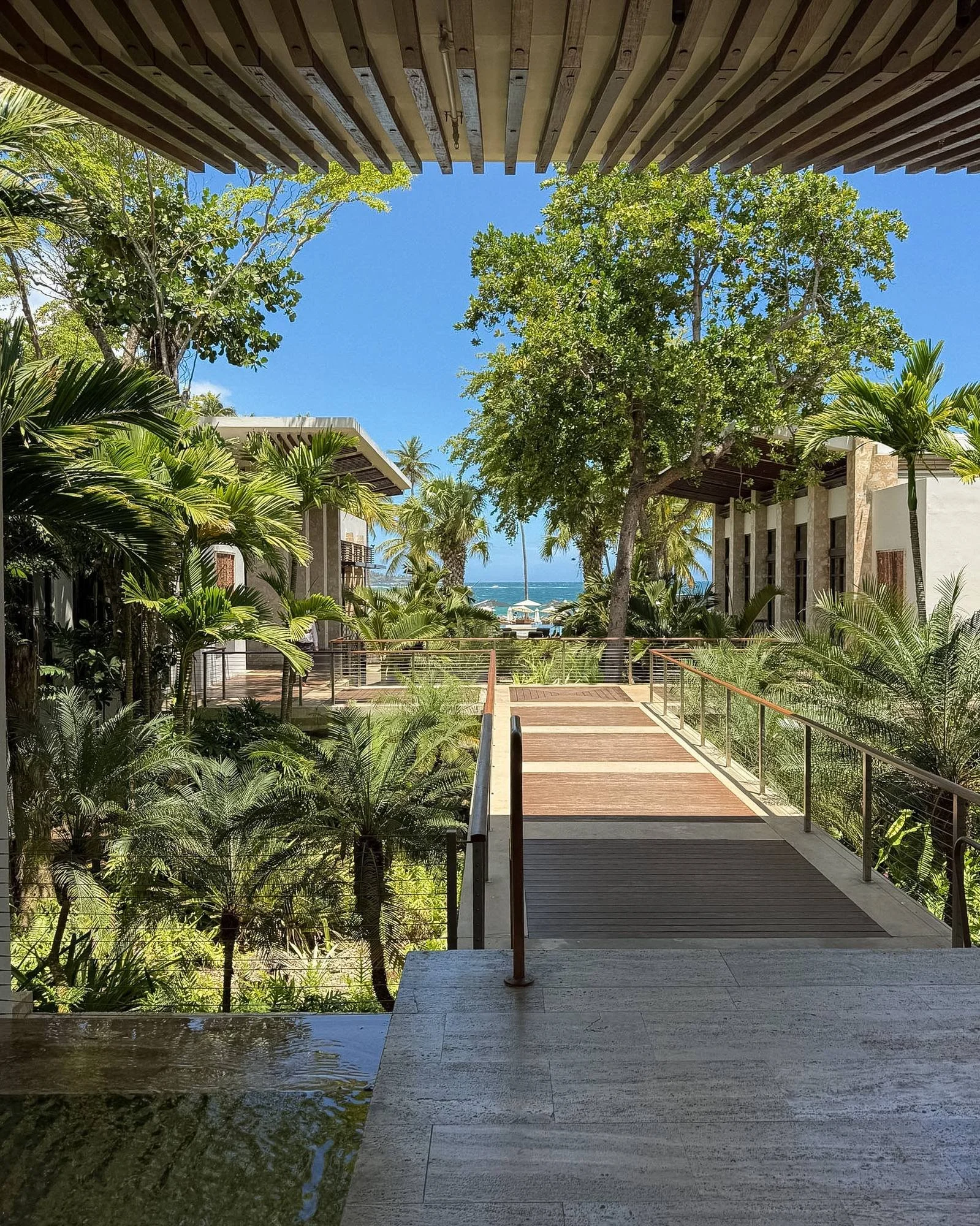 dorado-beach-ritz-carlton-reserve-puerto-rico-resort-grounds-tropical-path.jpg