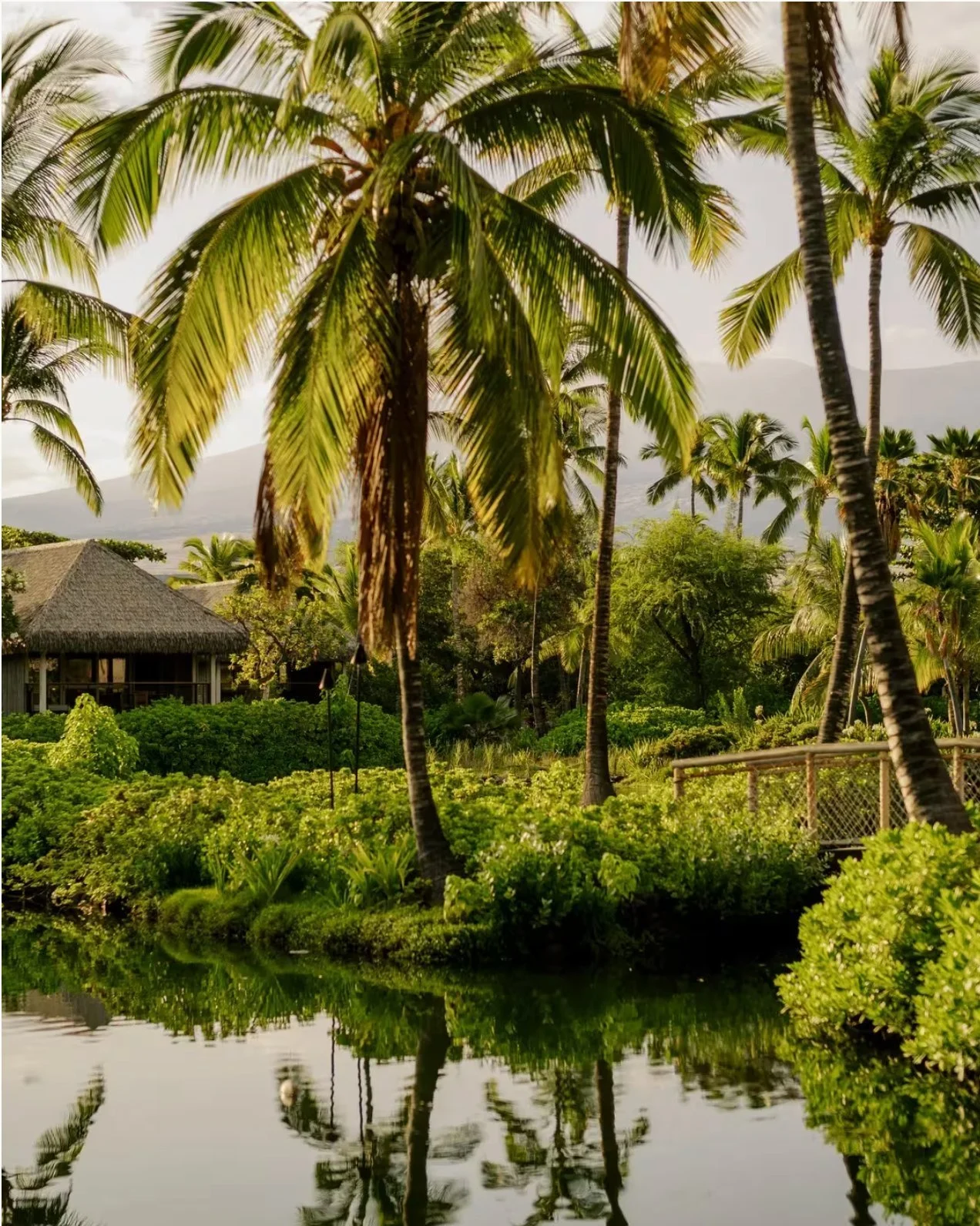 rosewood-kona-village-tropical-gardens-hale.jpg