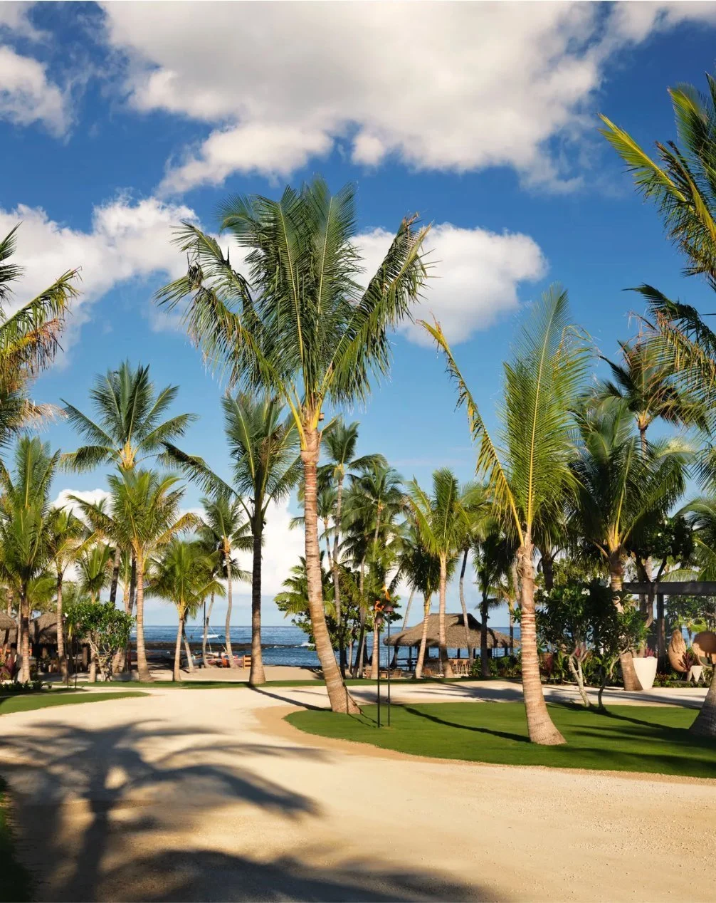 rosewood-kona-village-palm-grounds-pathway.jpg
